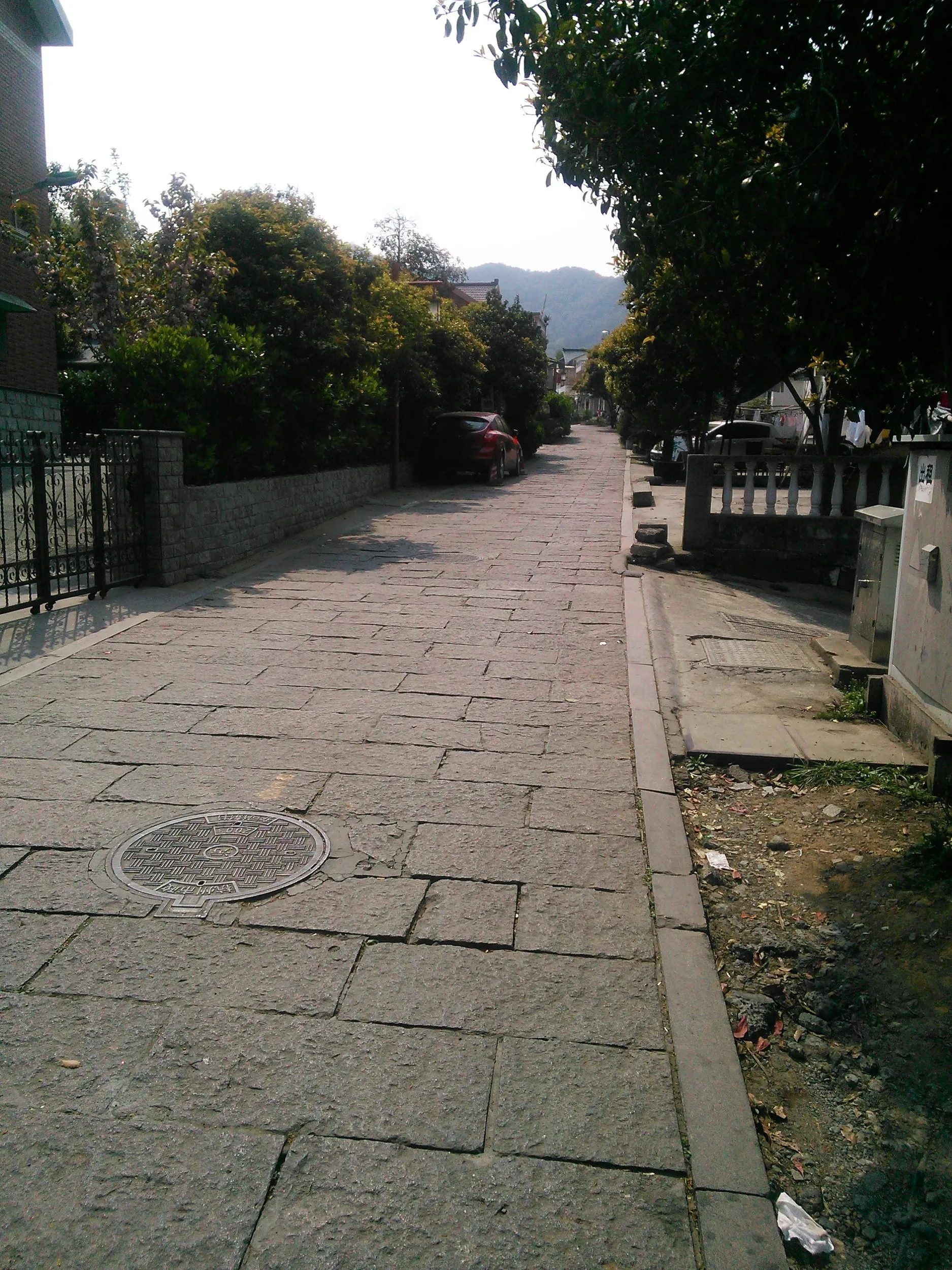 杭州・西湖龍井茶の新茶摘みツアー