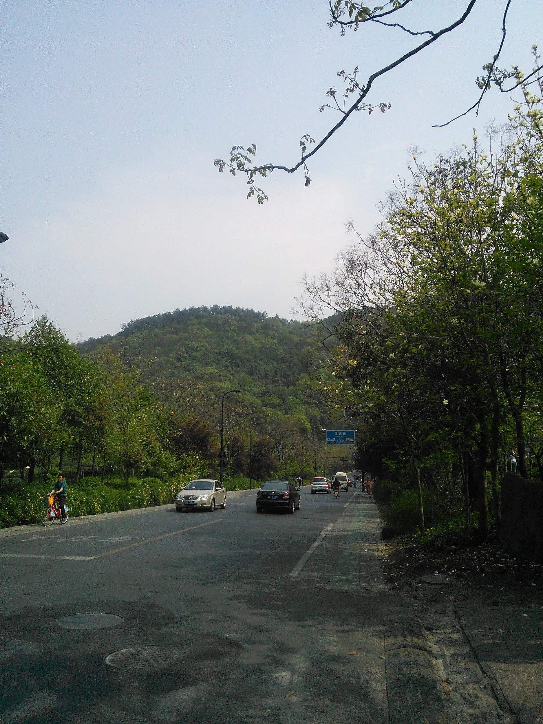 杭州・西湖龍井茶の新茶摘みツアー