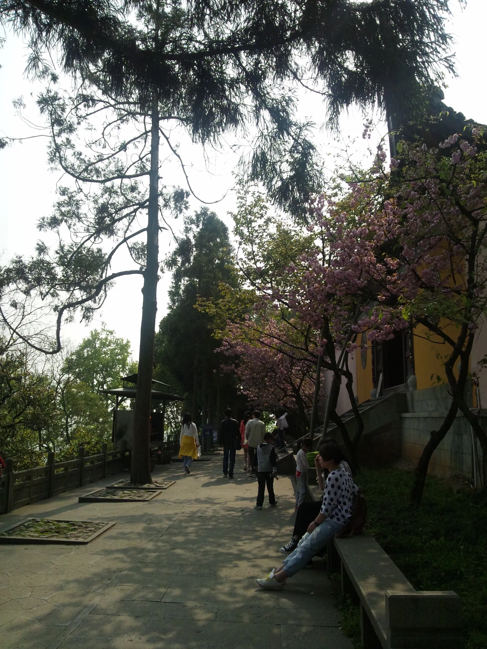 玉皇山へ登る。福星観