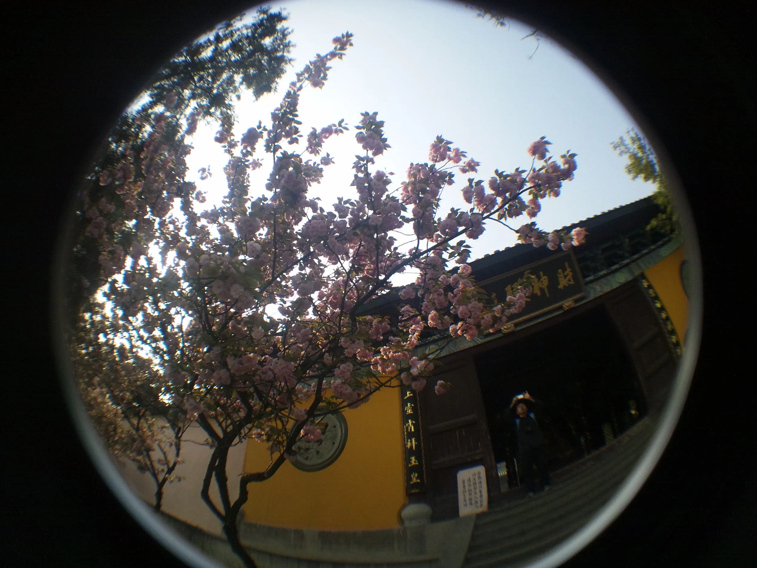 玉皇山へ登る。福星観