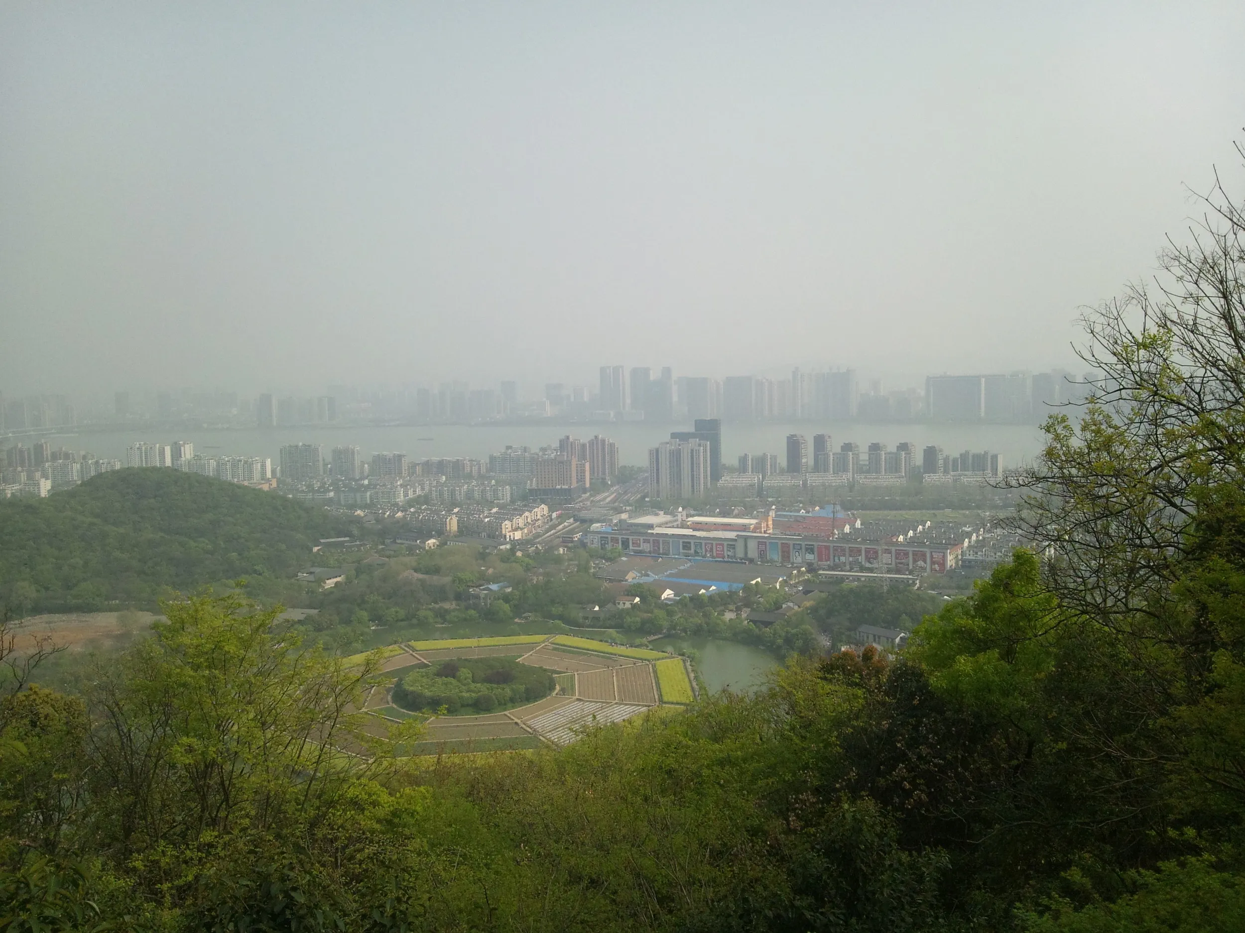 玉皇山から見える八卦田