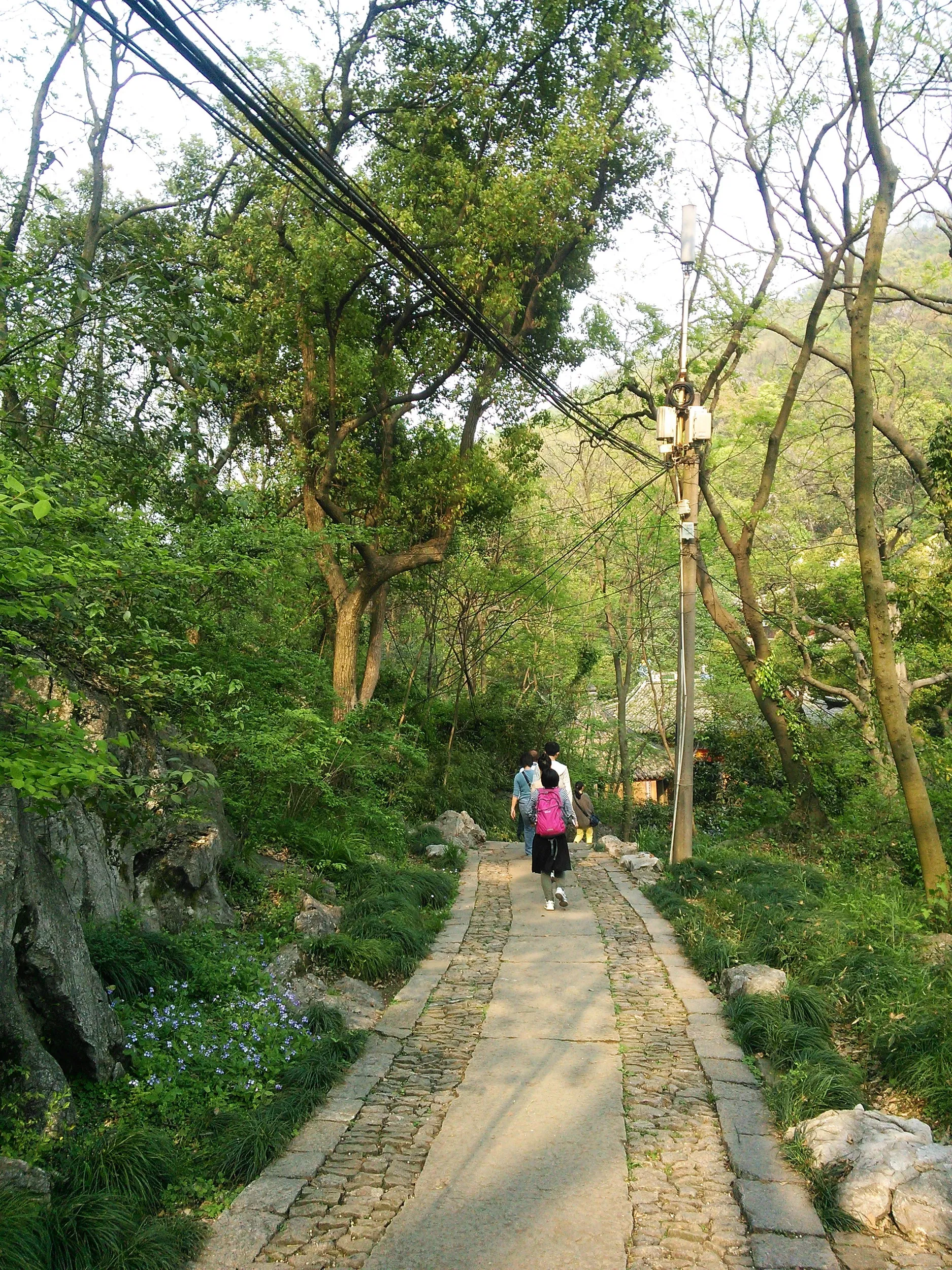 玉皇山から下山