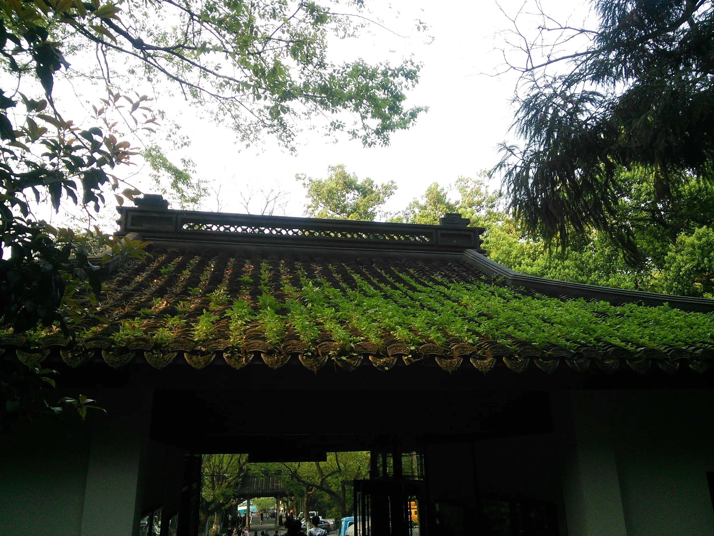 玉皇山から下山