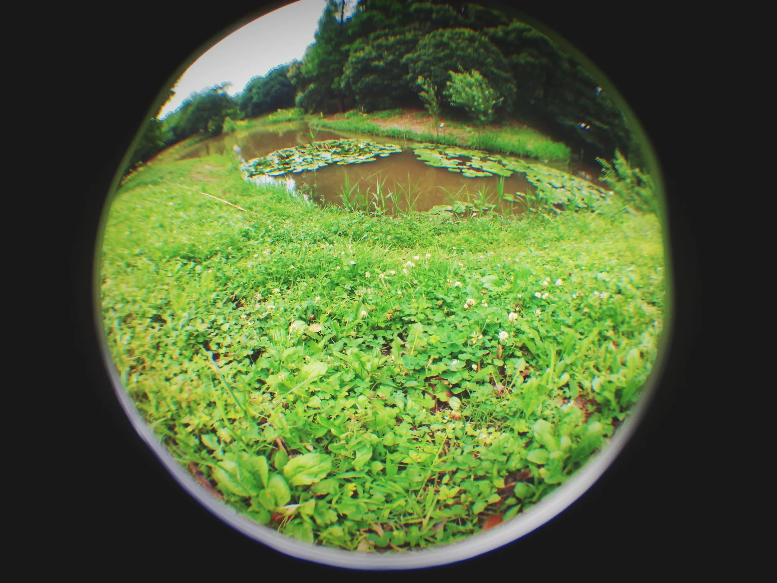 上海植物園観光