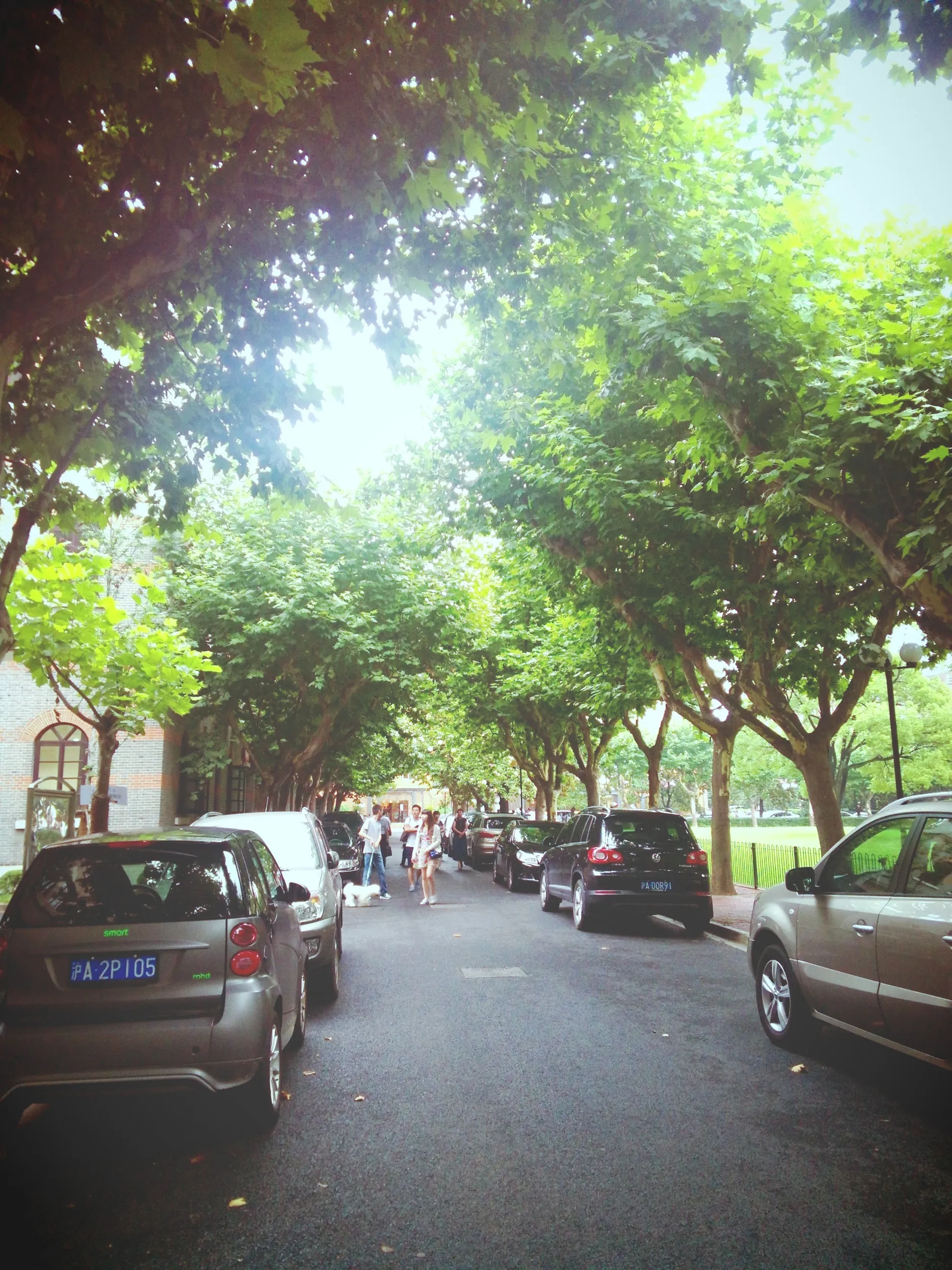 ニコ生替りに録画