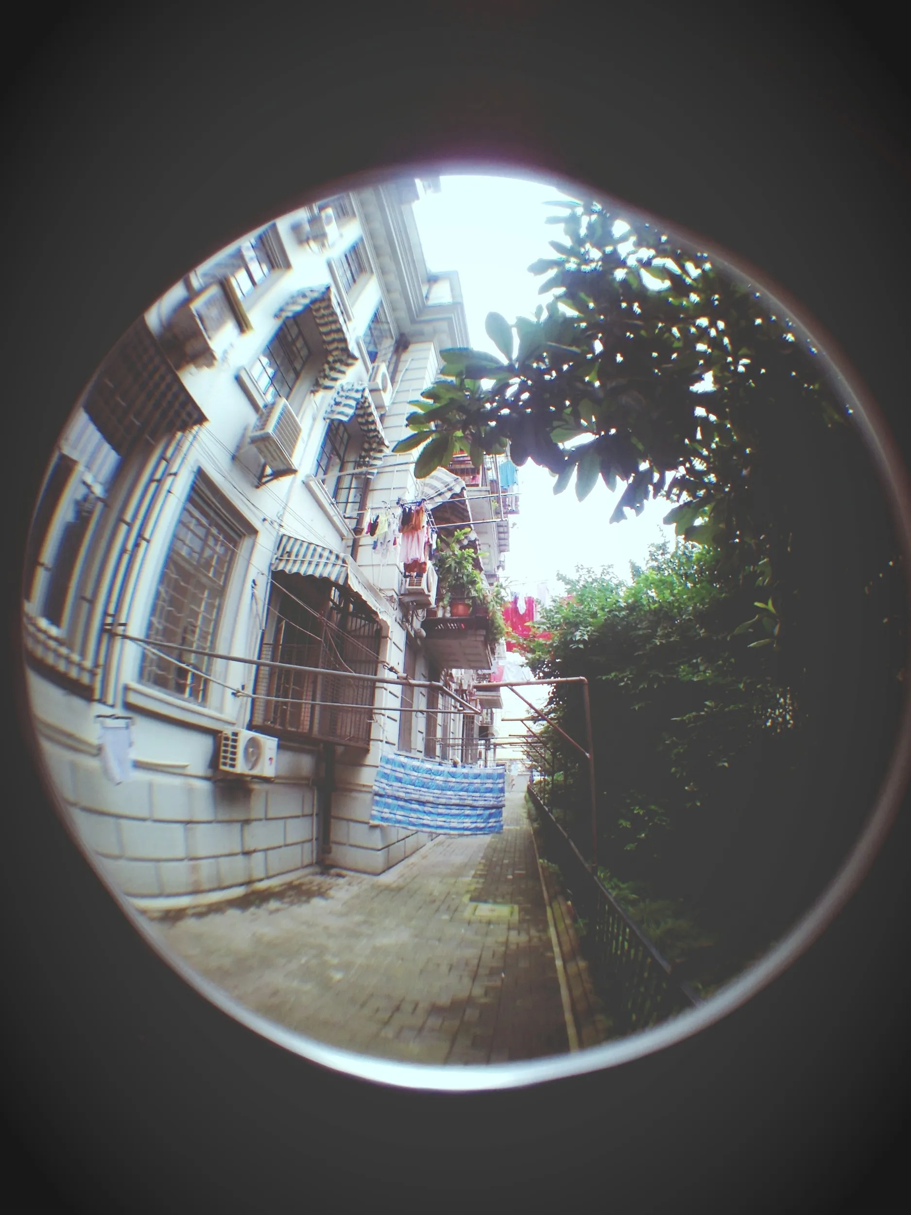 ニコ生代わりに撮影