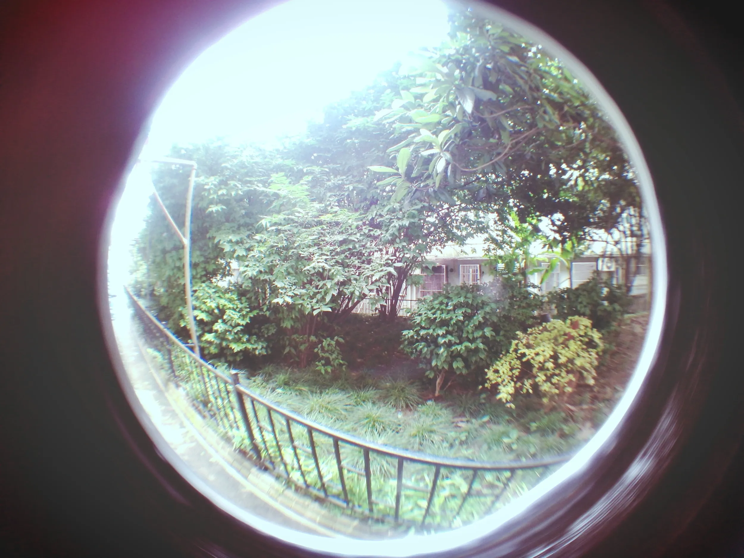 ニコ生代わりに撮影