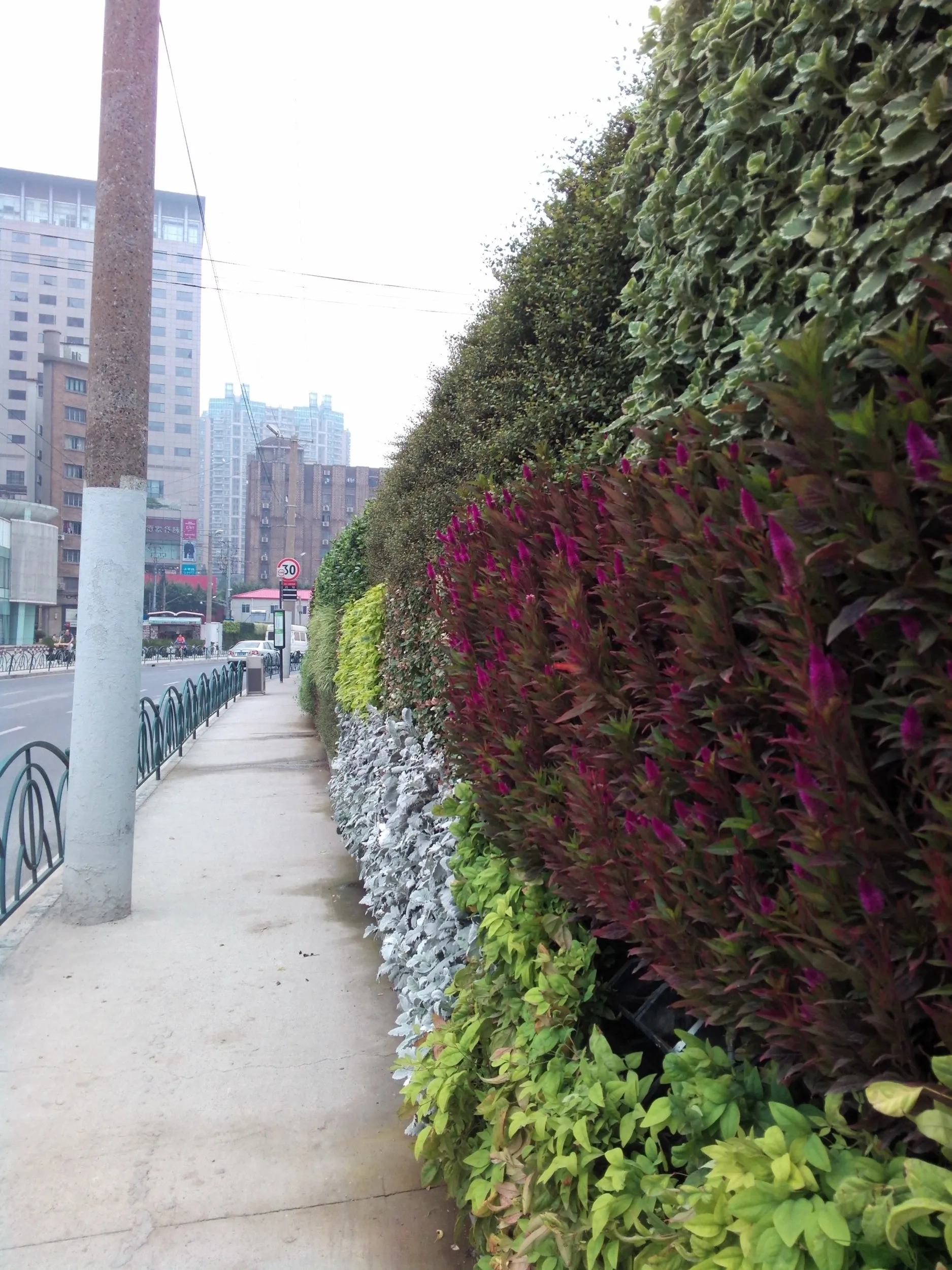 ニコ生代わりに撮影