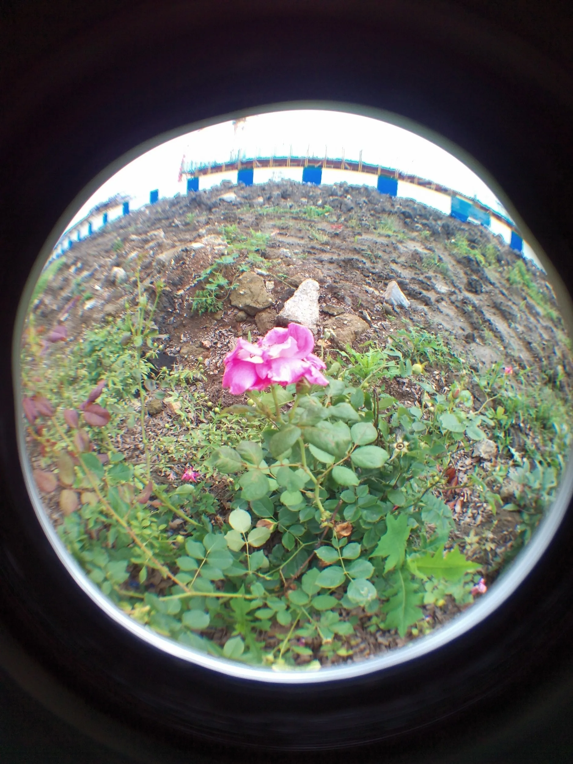 蘇州虎丘湿地公園付近