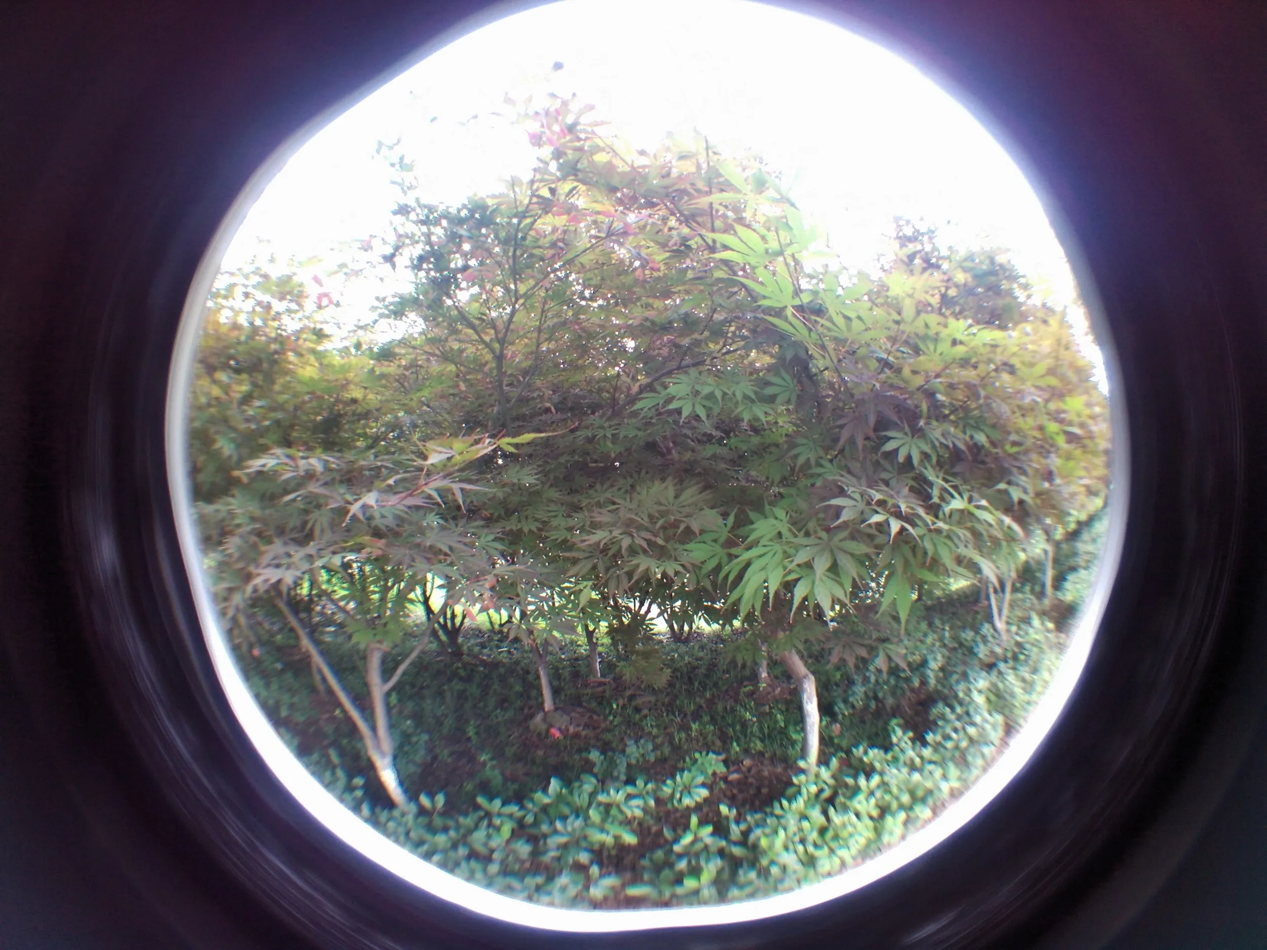 蘇州虎丘湿地公園付近