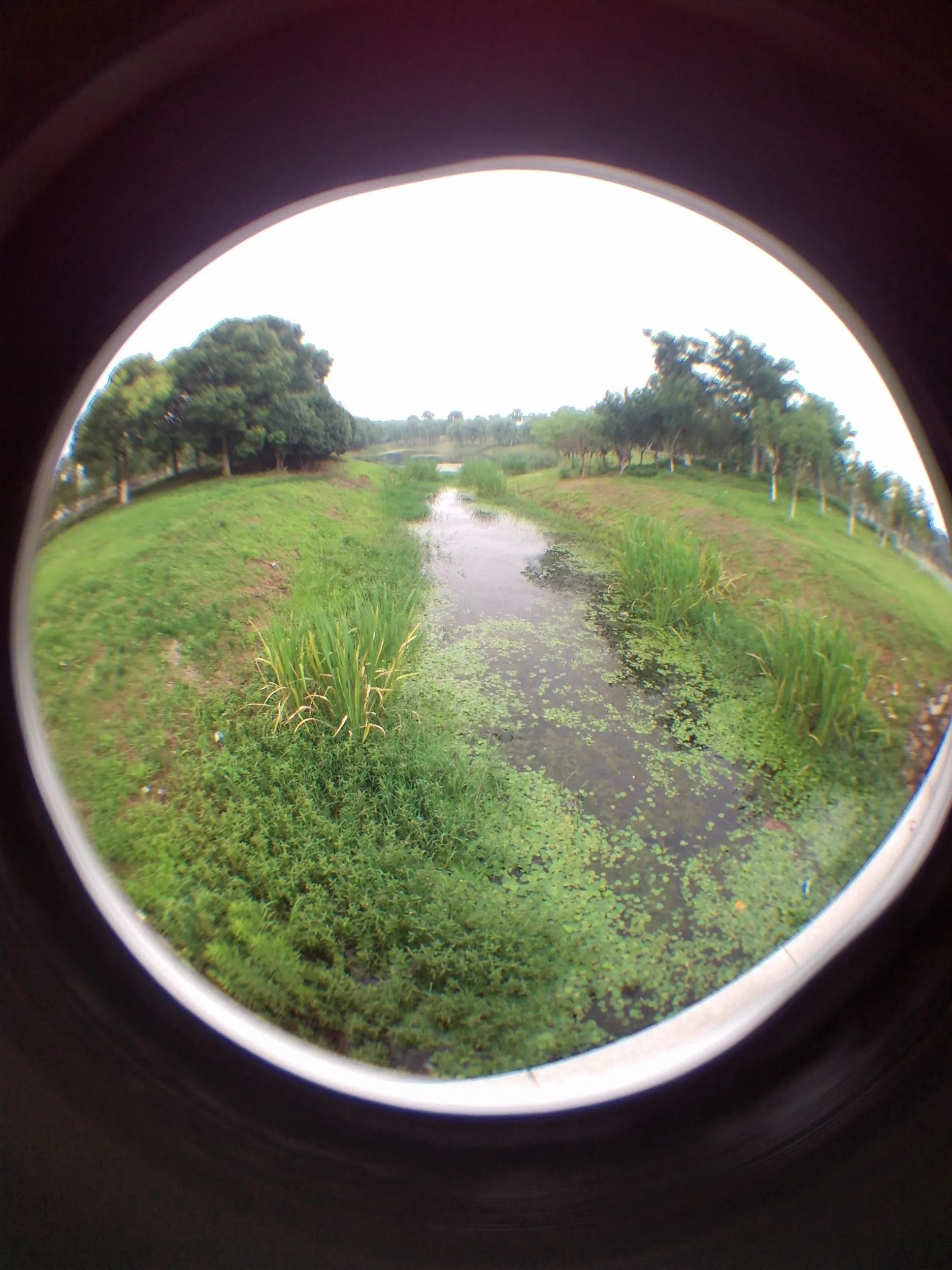蘇州虎丘湿地公園