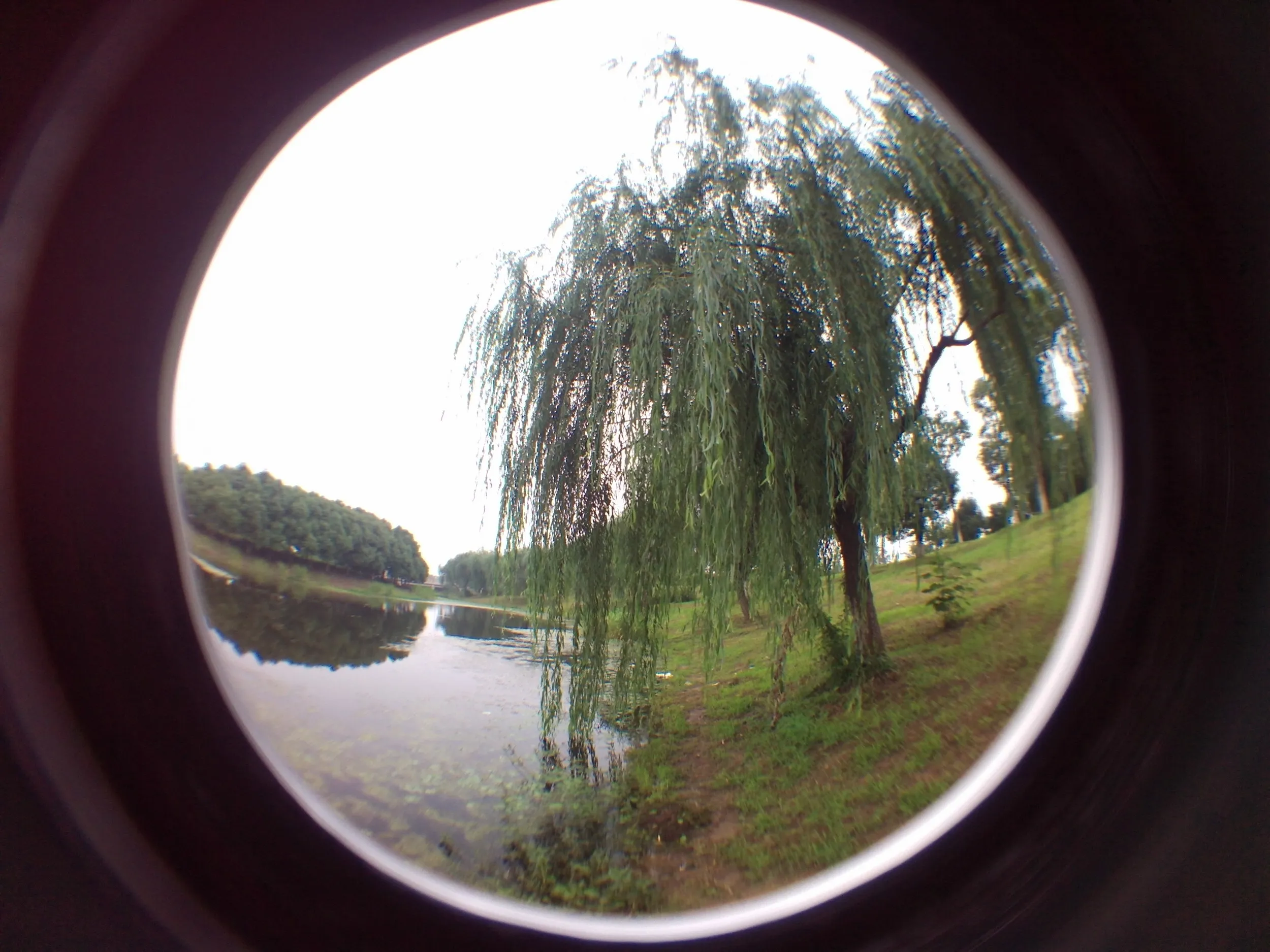 蘇州虎丘湿地公園