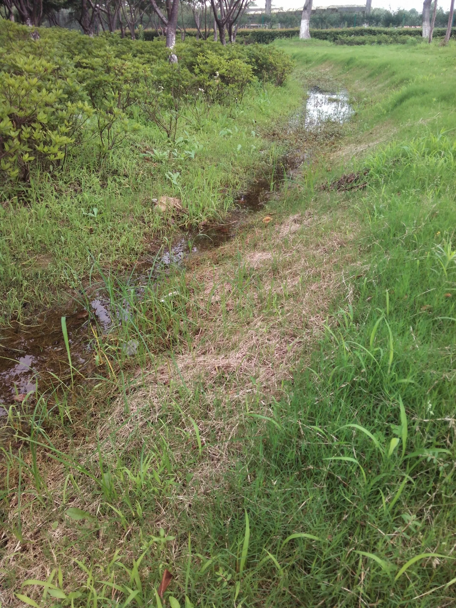 蘇州虎丘湿地公園