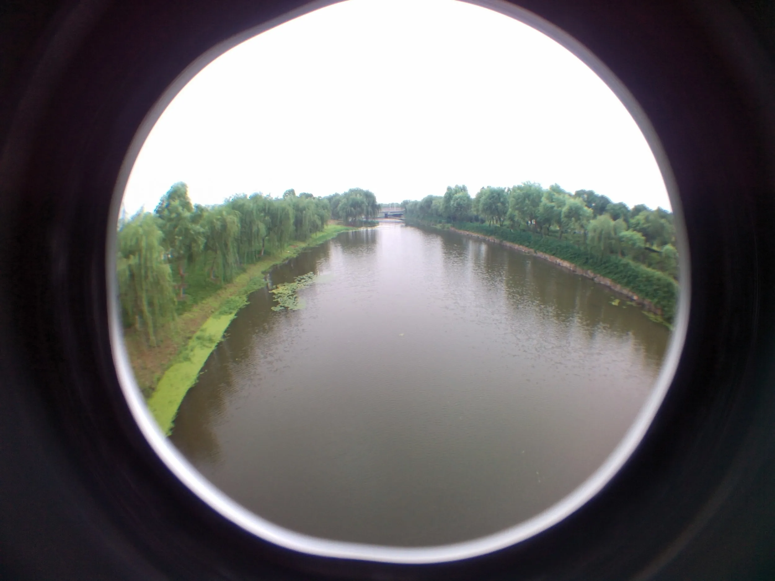 蘇州虎丘湿地公園