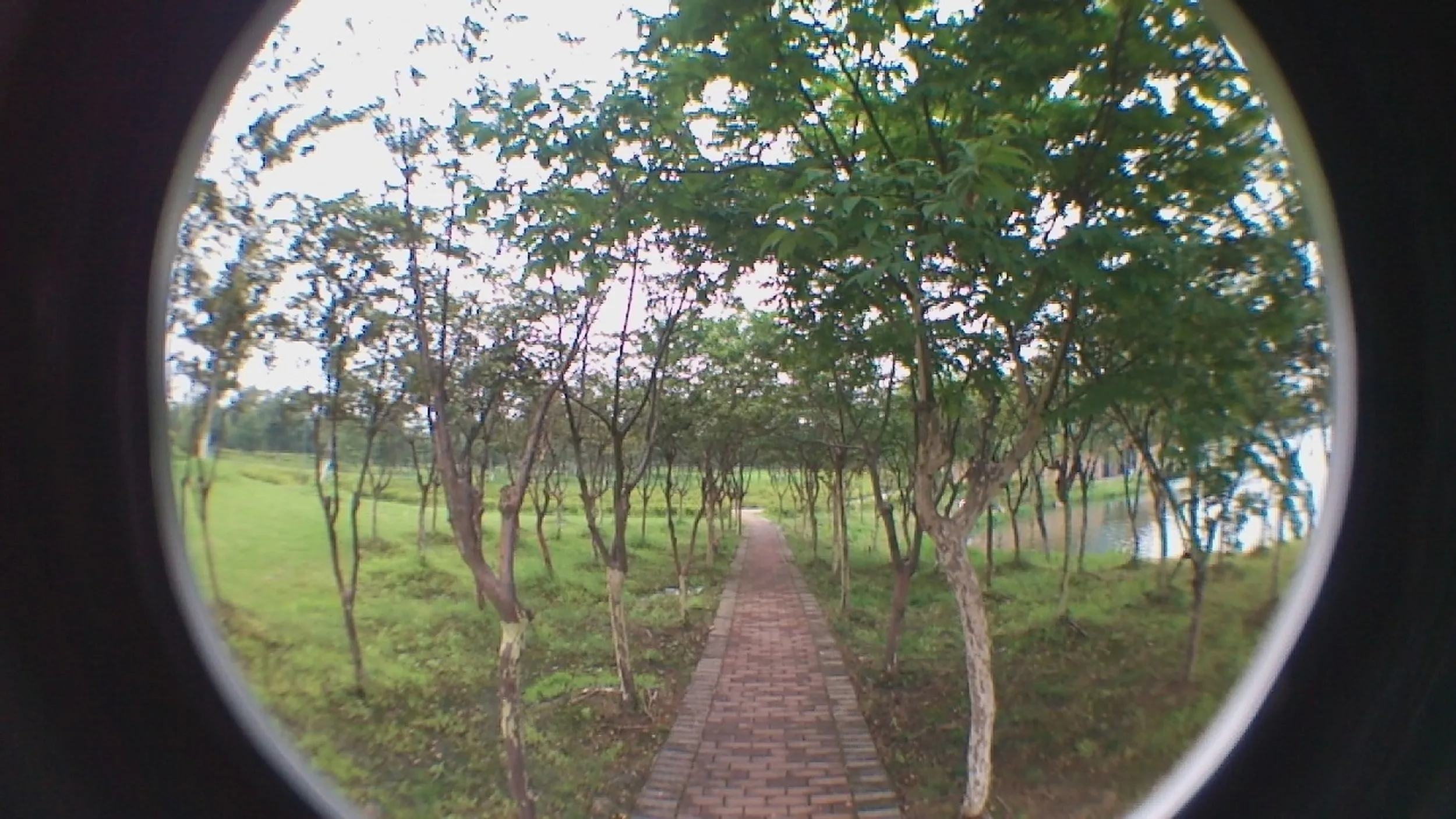 蘇州虎丘湿地公園