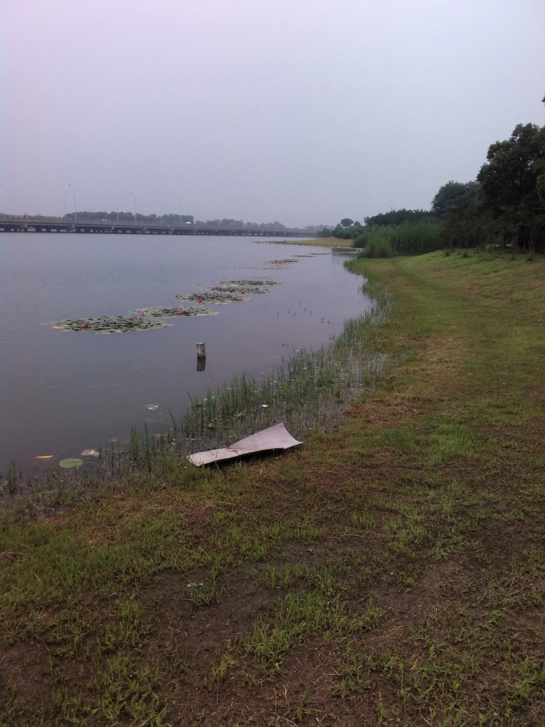 蘇州虎丘湿地公園