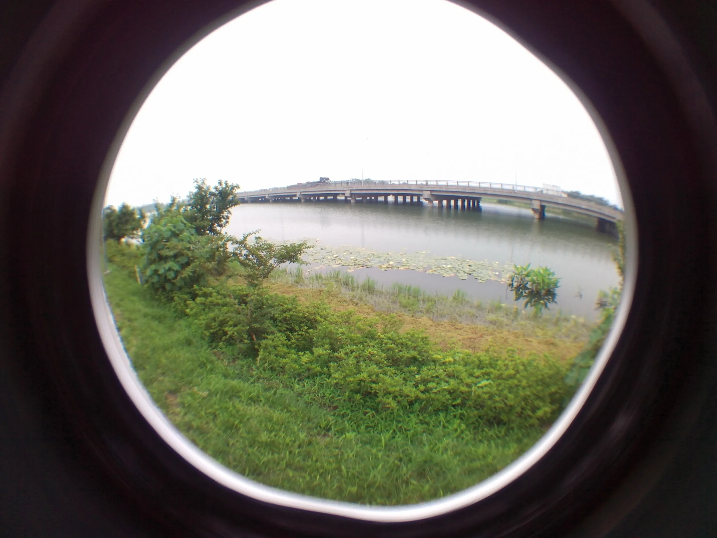 蘇州虎丘湿地公園