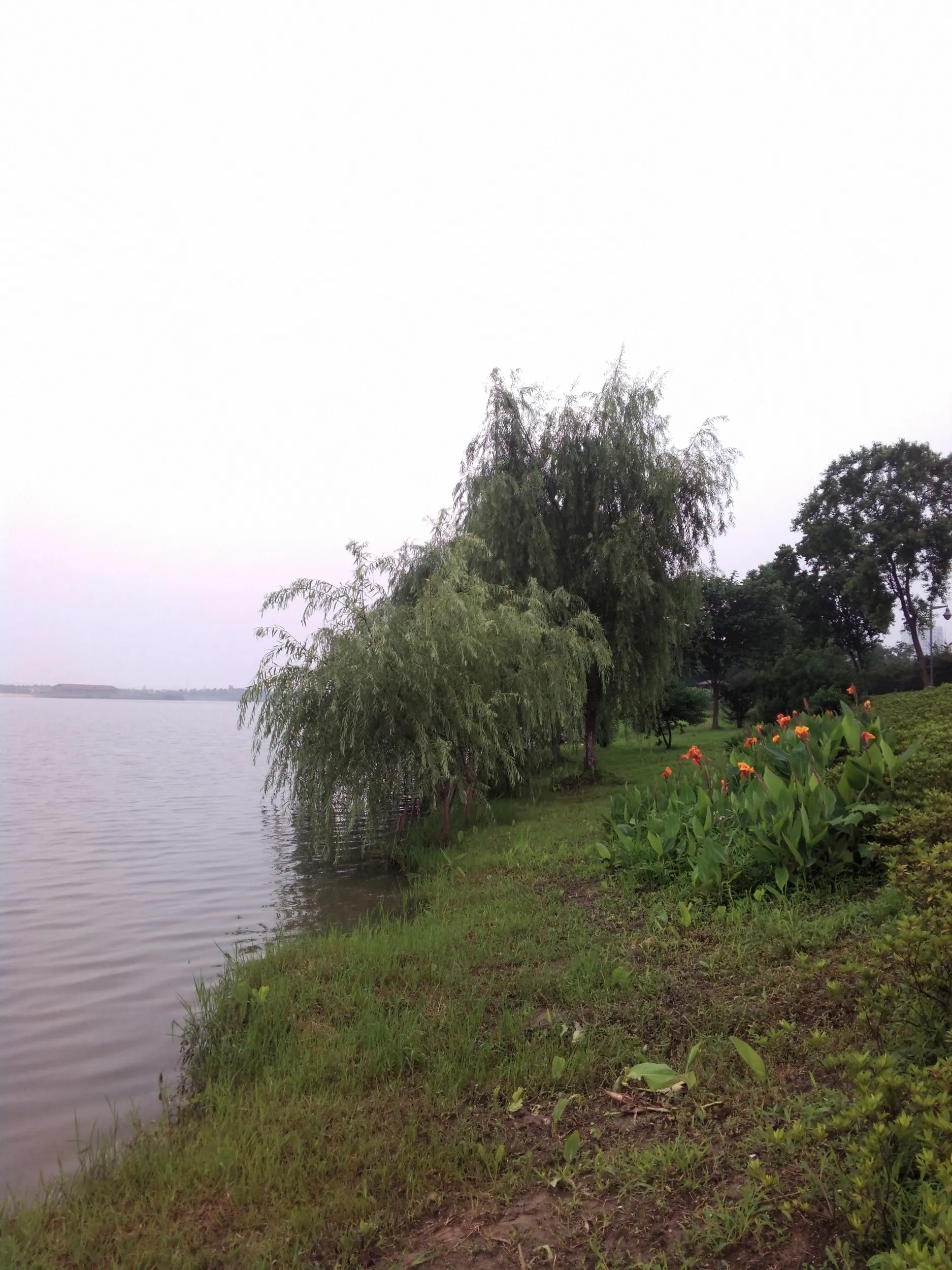 蘇州虎丘湿地公園