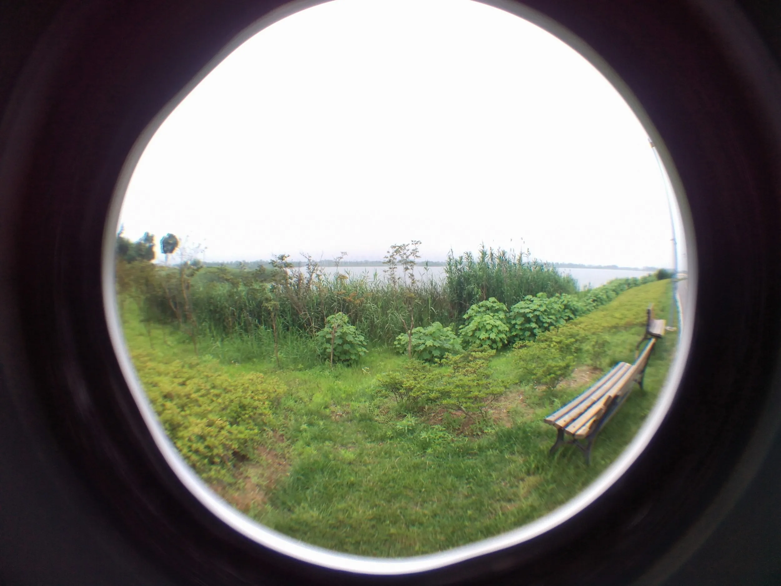 蘇州虎丘湿地公園