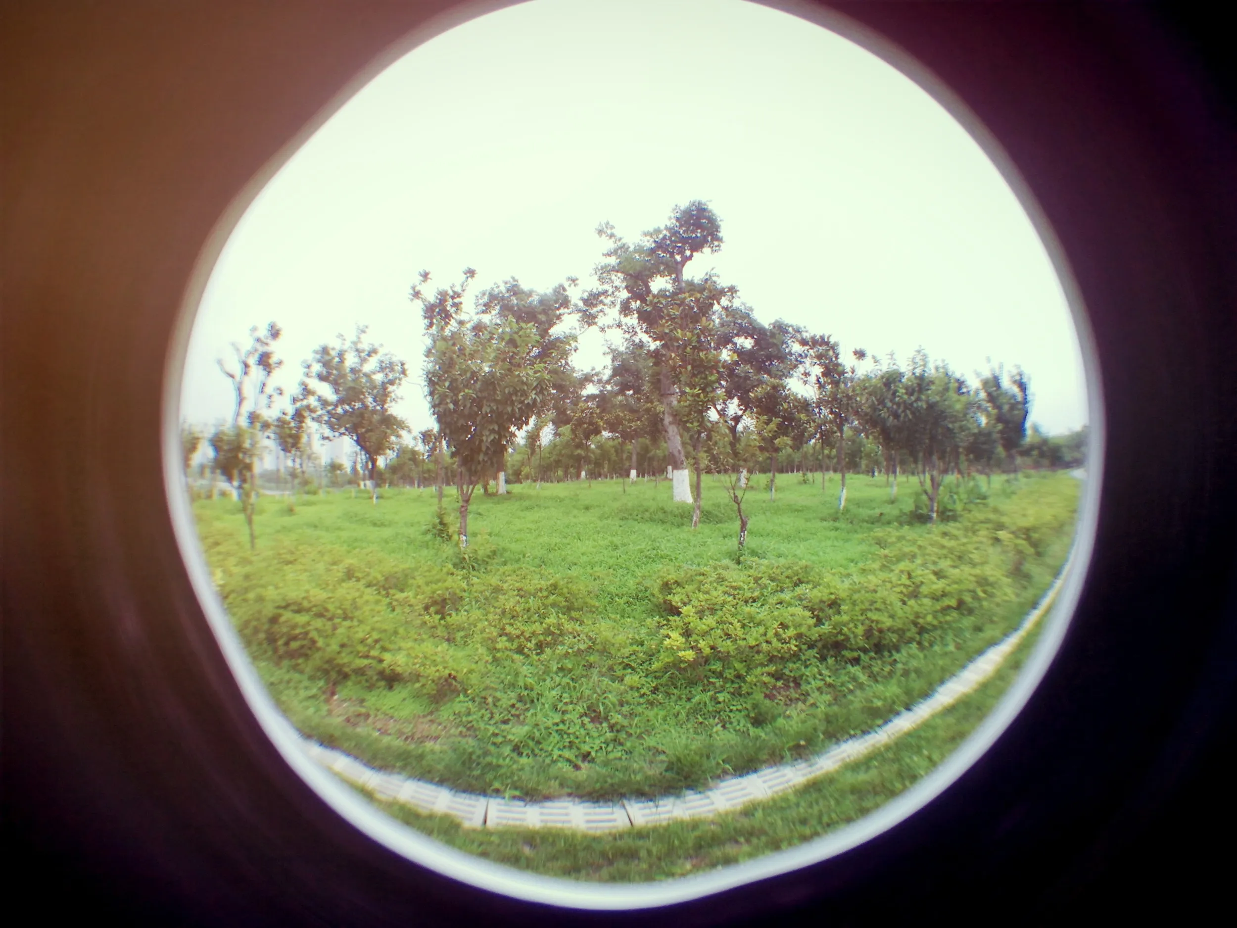 蘇州虎丘湿地公園