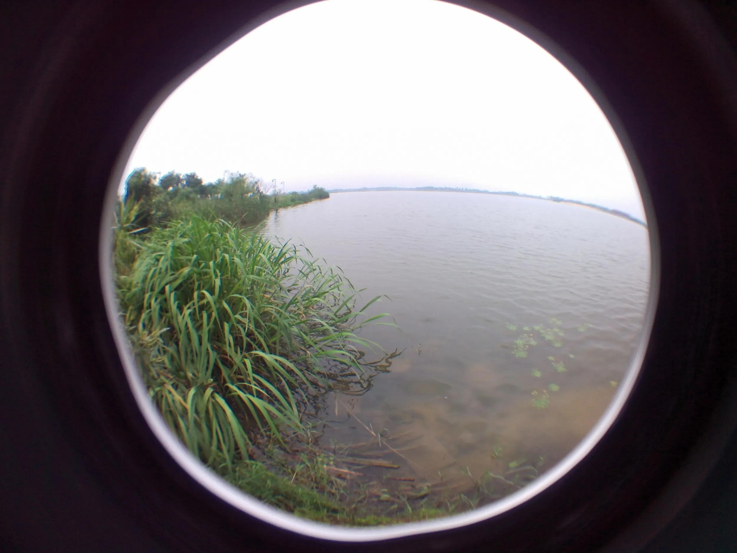 蘇州虎丘湿地公園