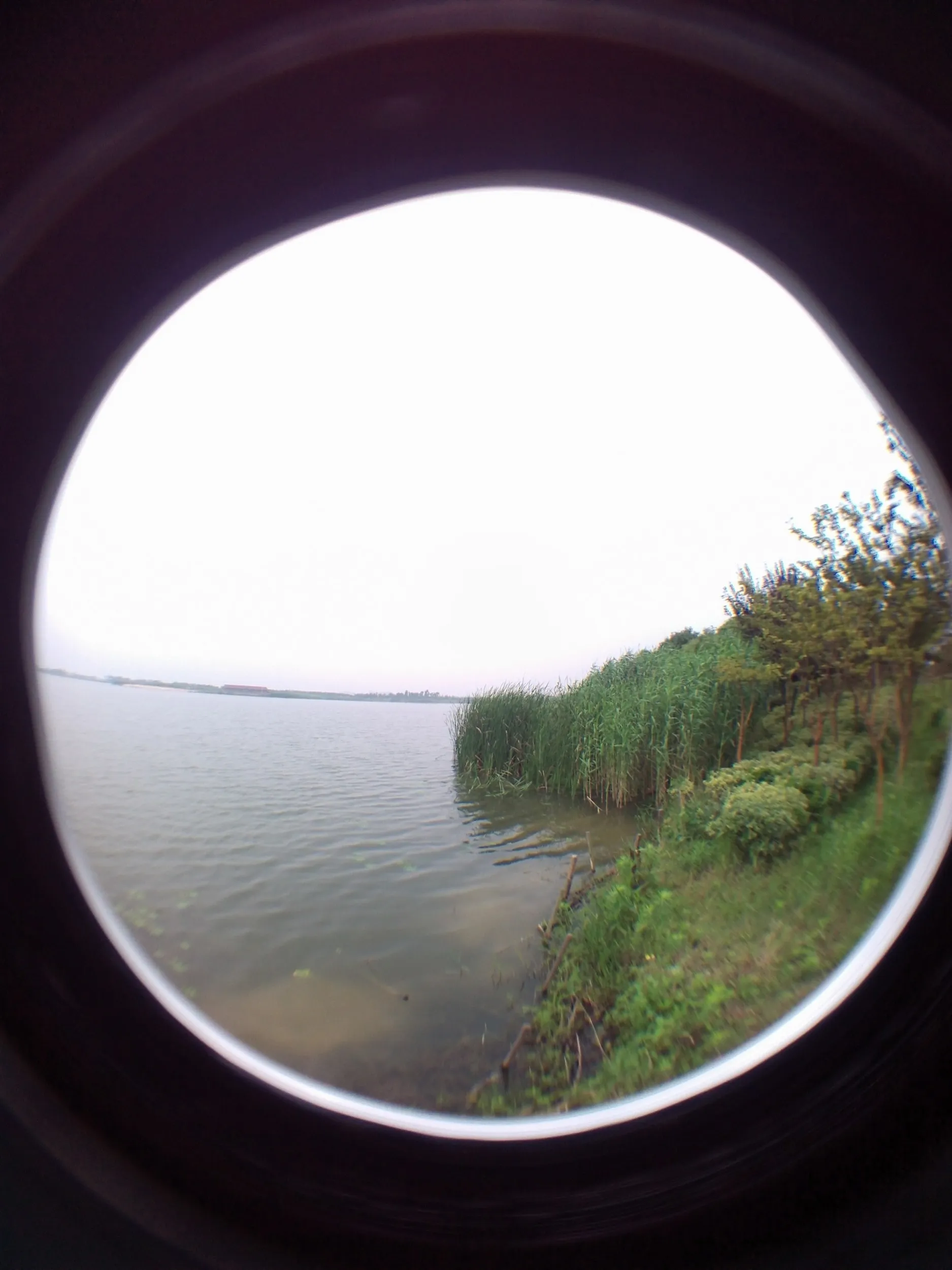 蘇州虎丘湿地公園