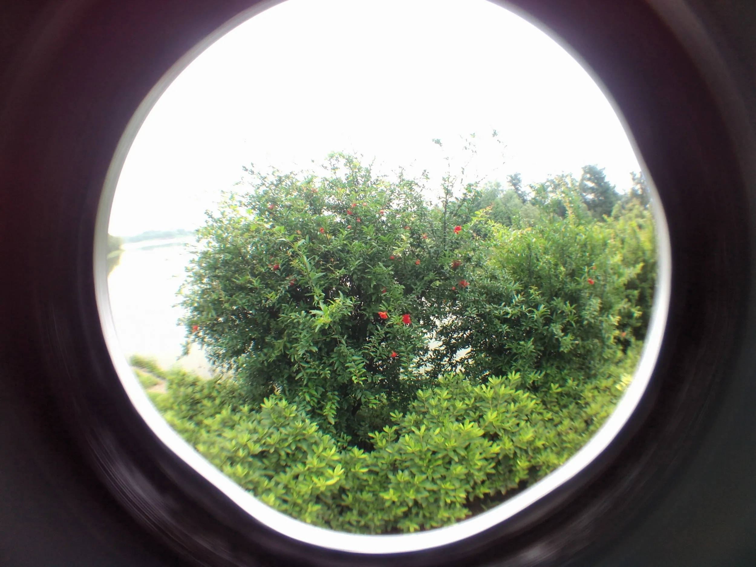 蘇州虎丘湿地公園