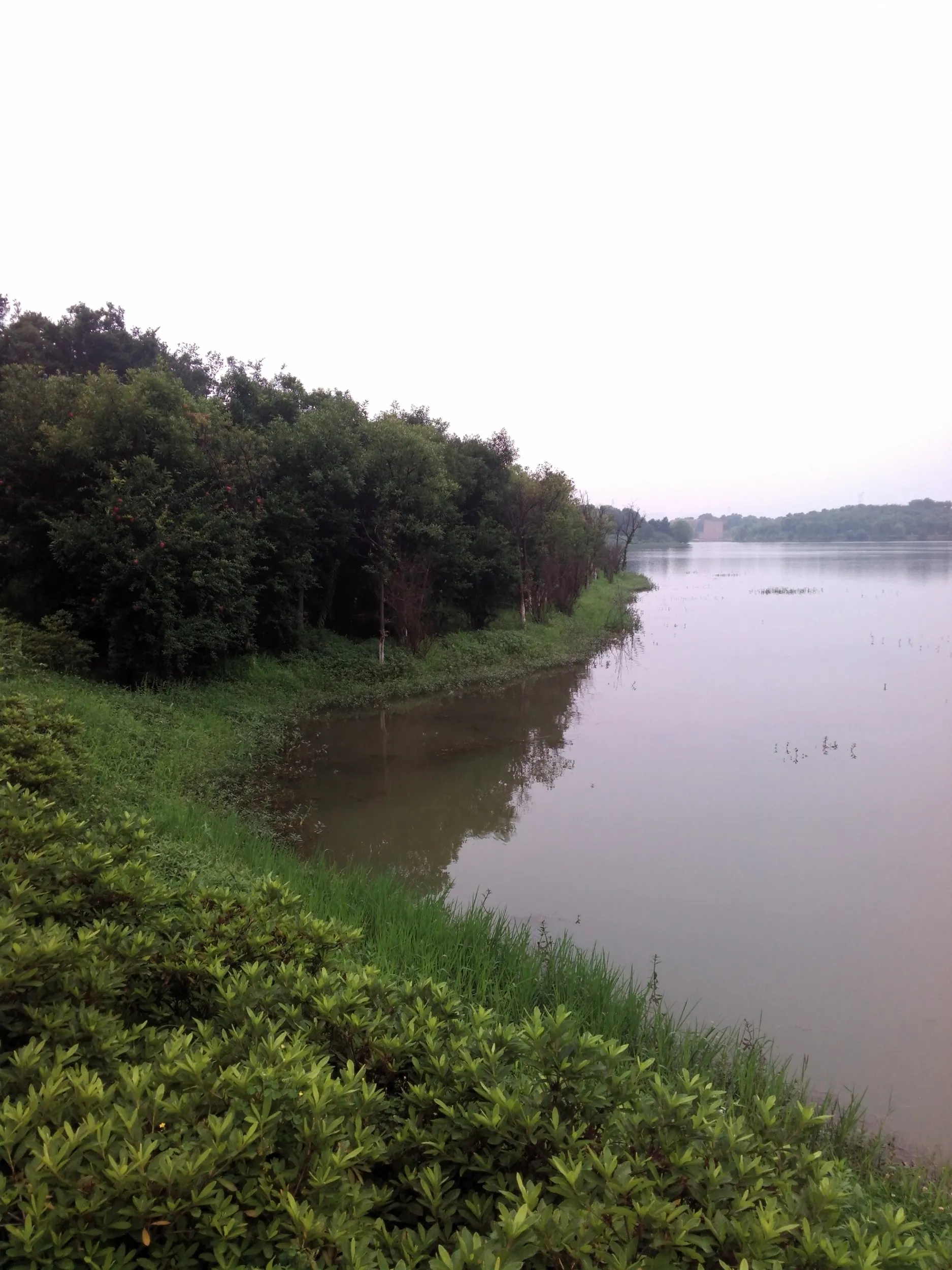 蘇州虎丘湿地公園