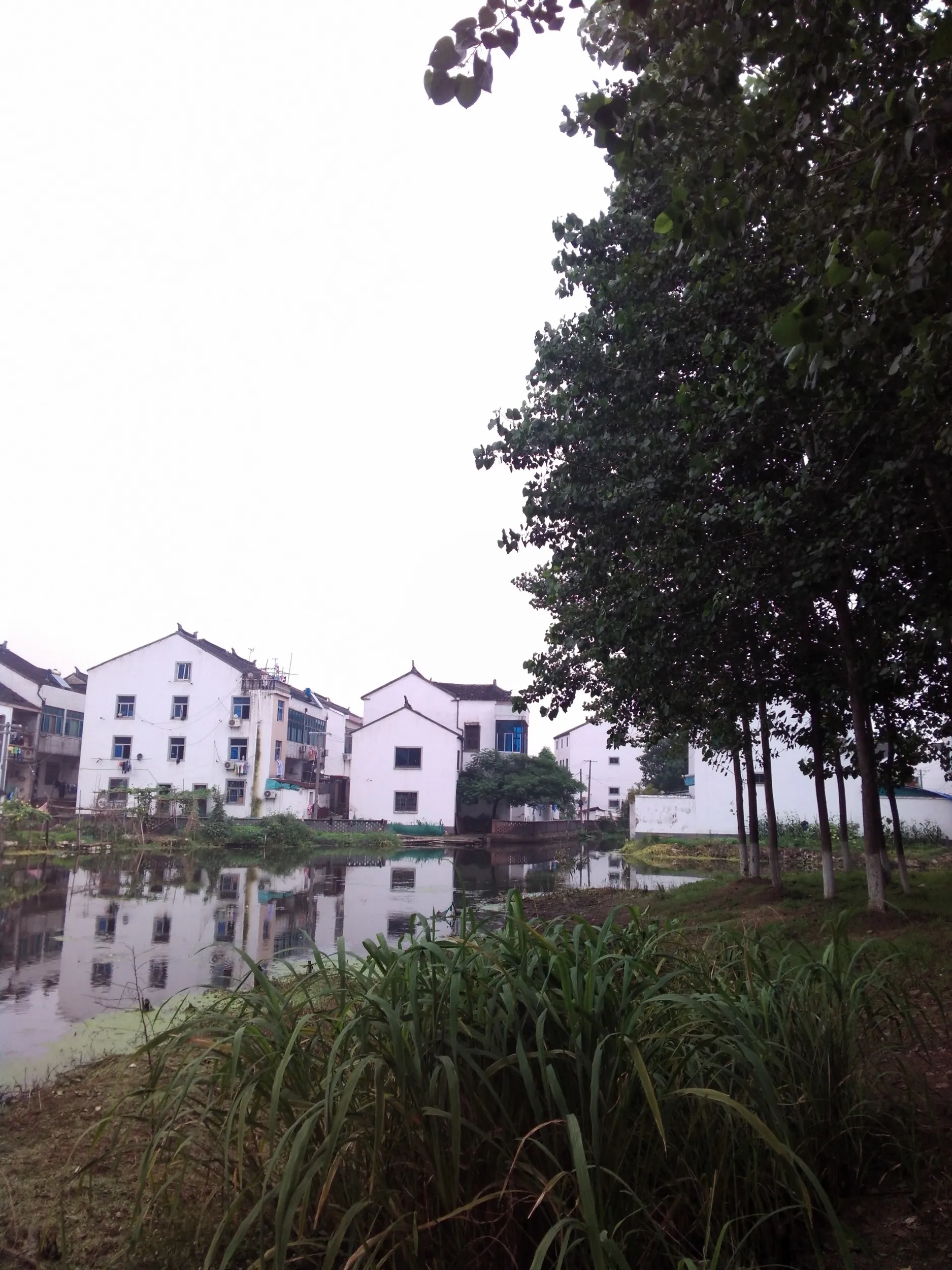 蘇州虎丘湿地公園付近の民家