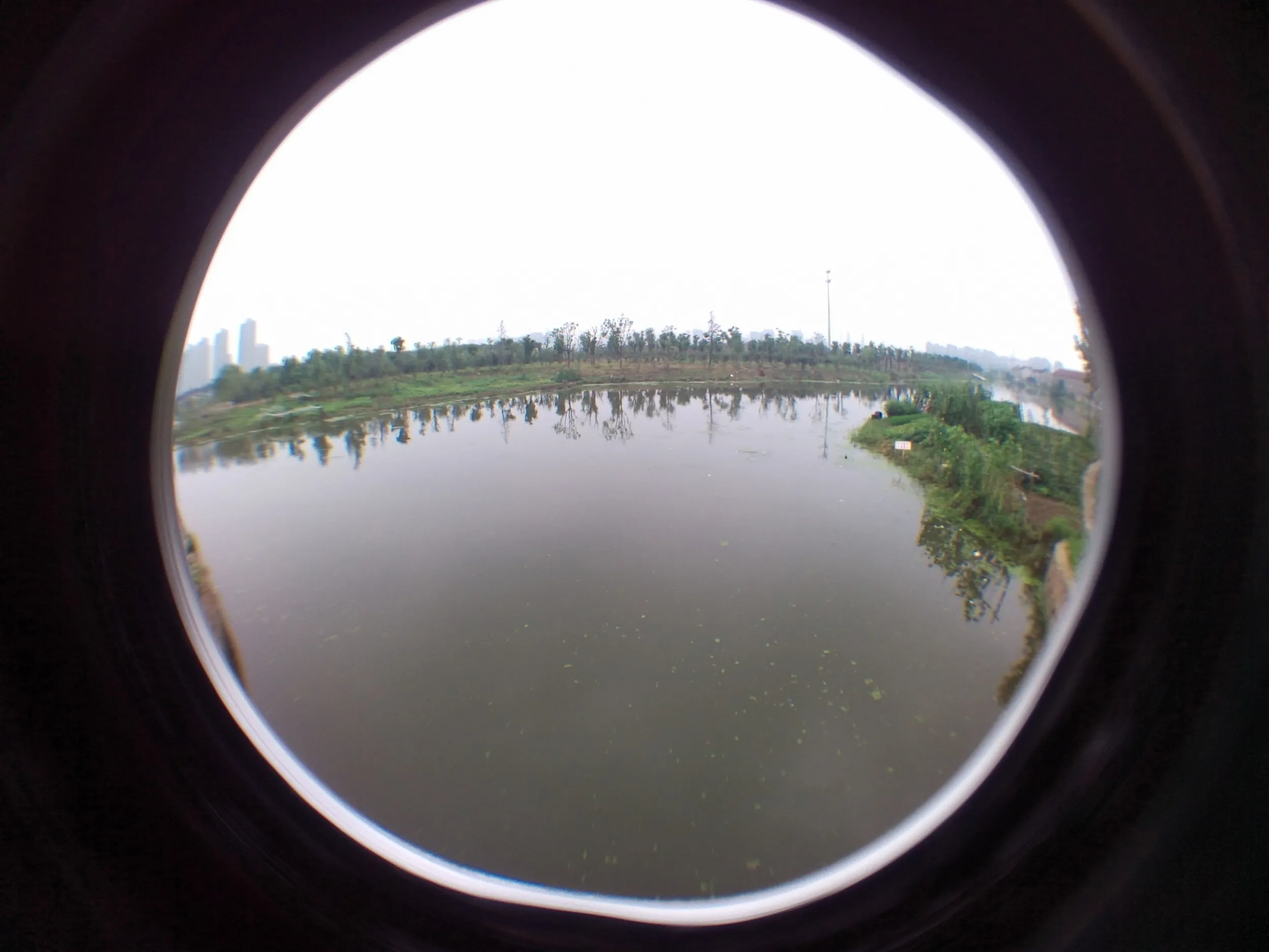 蘇州虎丘湿地公園