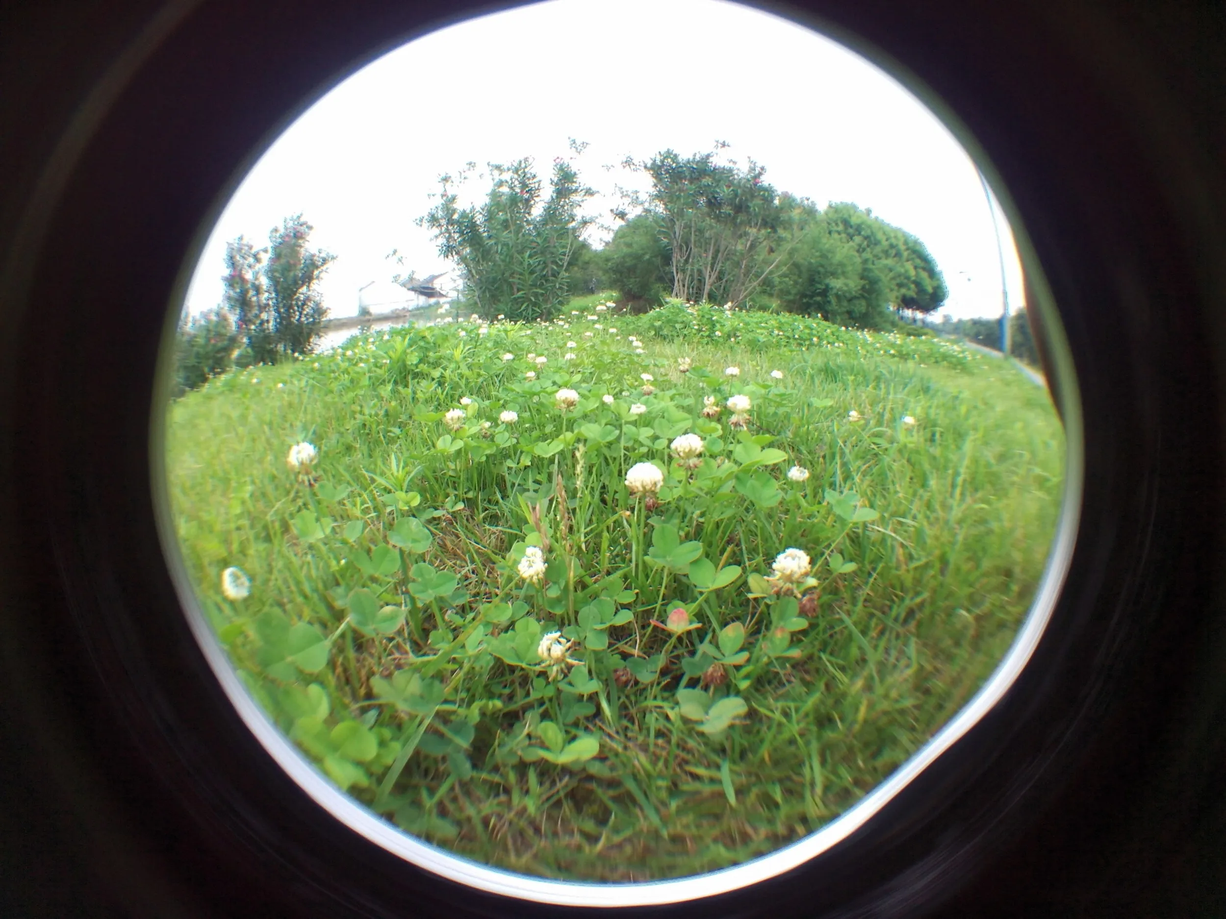 蘇州虎丘湿地公園