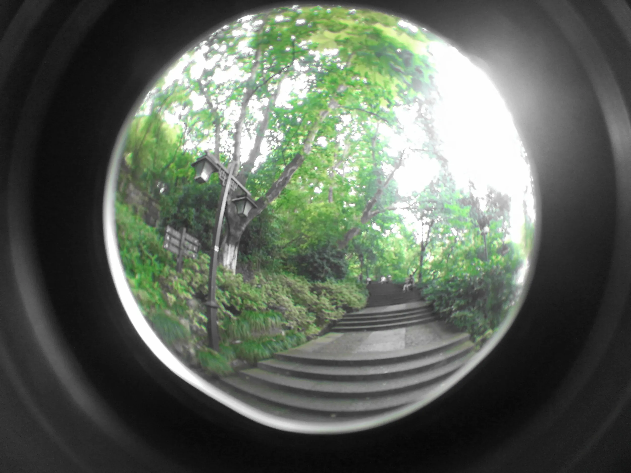 吴山を森林浴しながら散歩