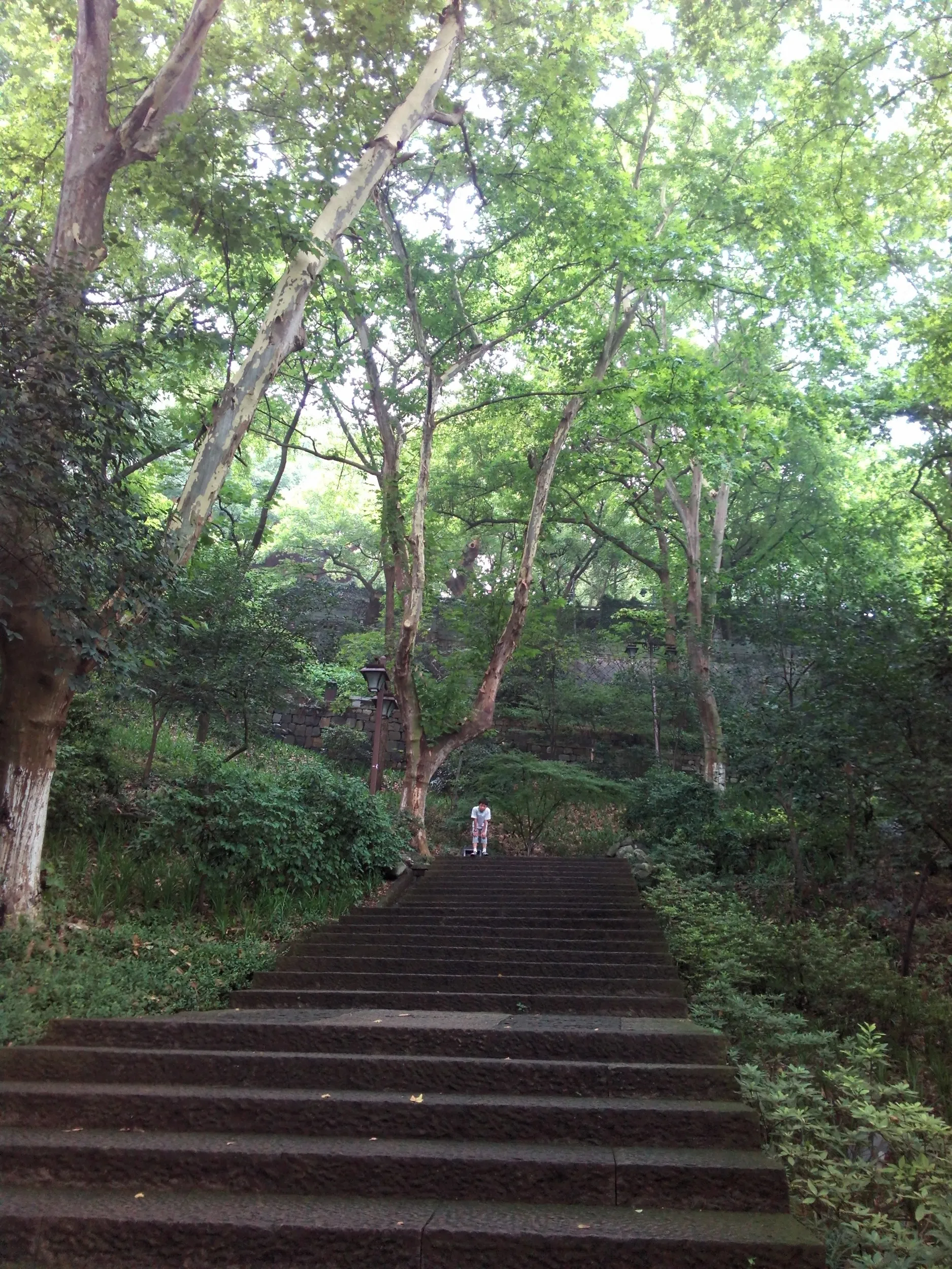 吴山を森林浴しながら散歩