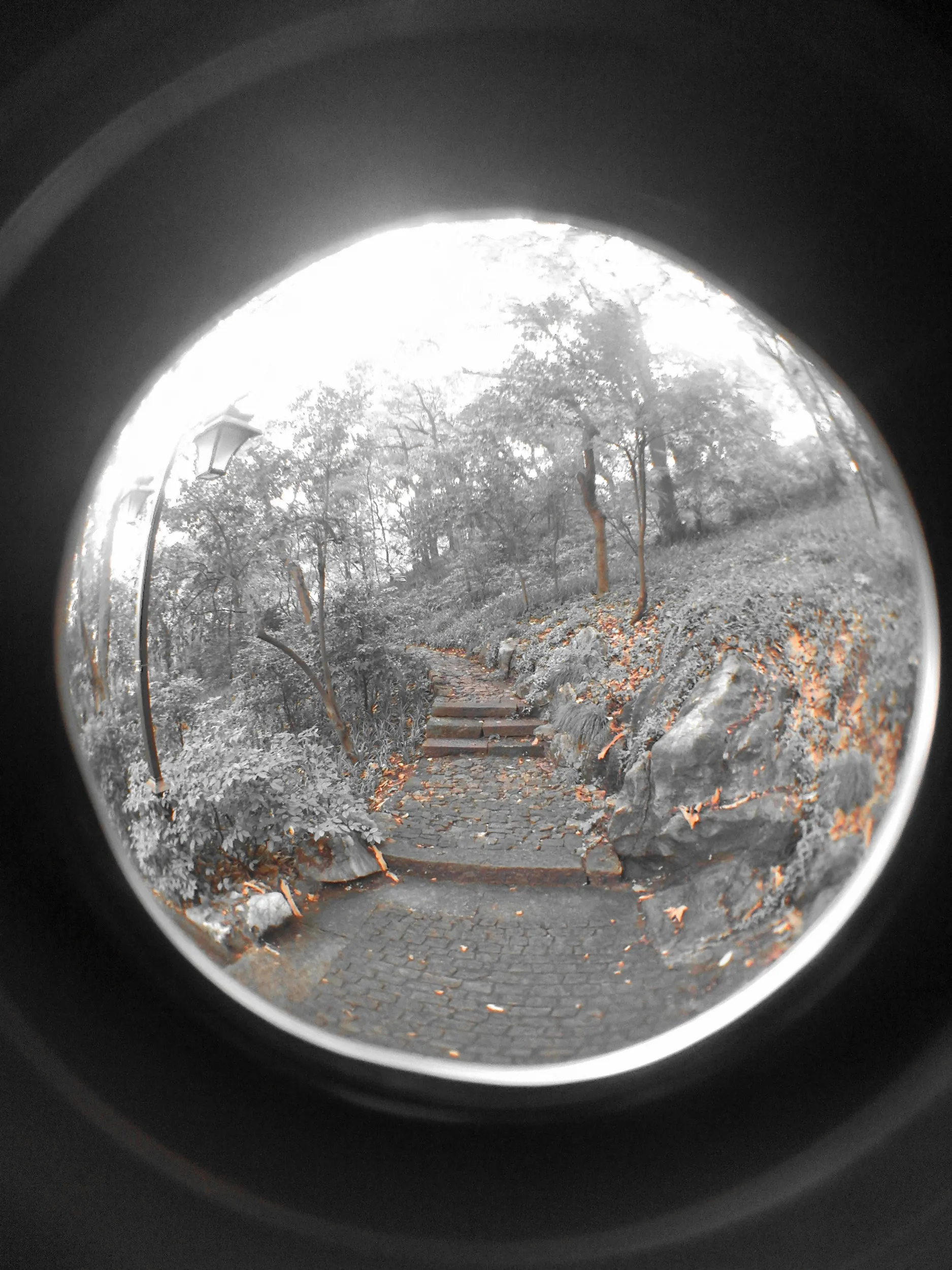 吴山を森林浴しながら散歩