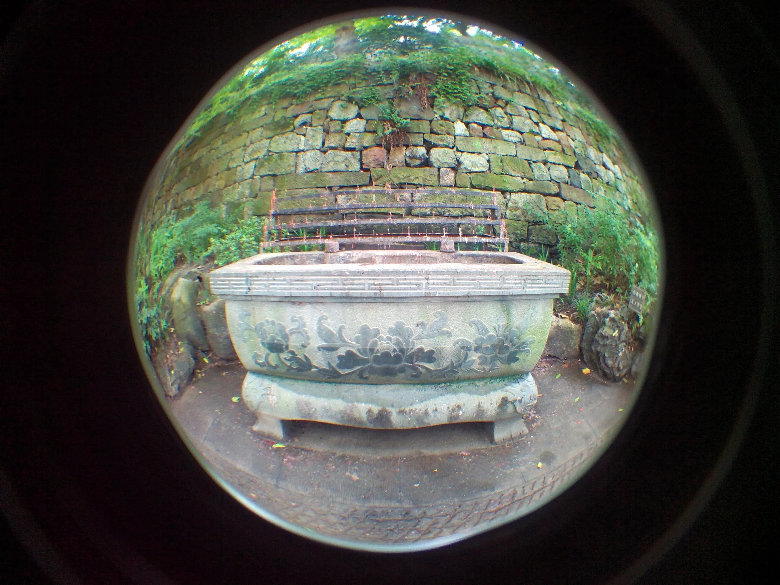 吴山を森林浴しながら散歩