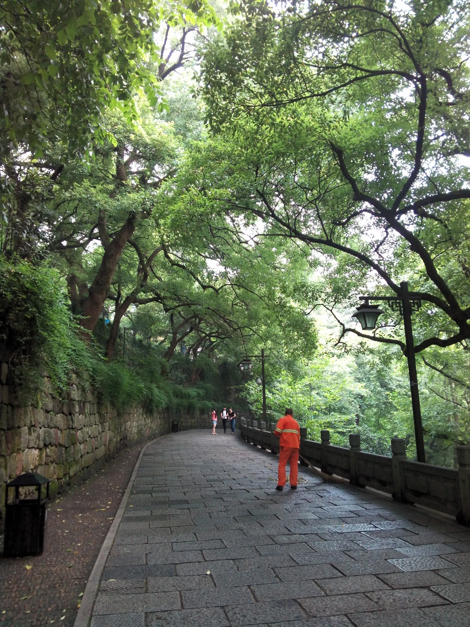 吴山を森林浴しながら散歩