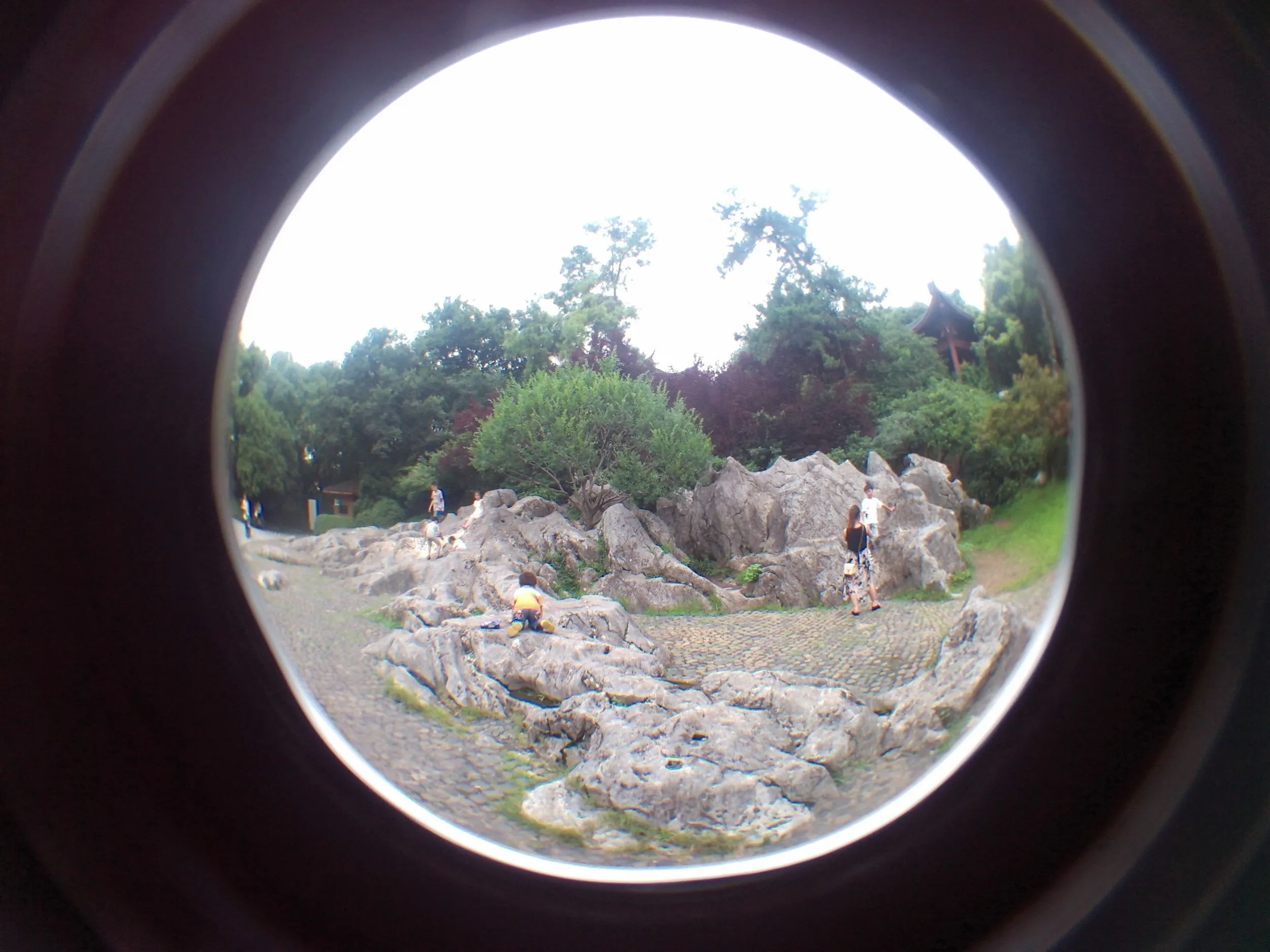 吴山を森林浴しながら散歩