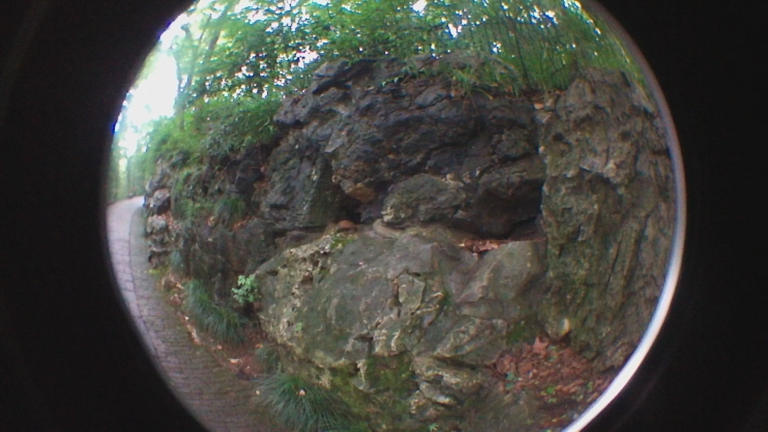 吴山を森林浴しながら散歩