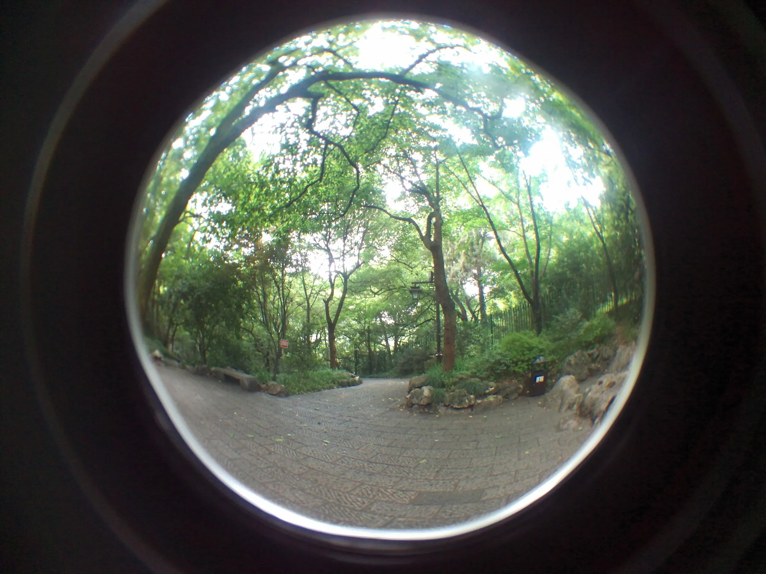 吴山を森林浴しながら散歩