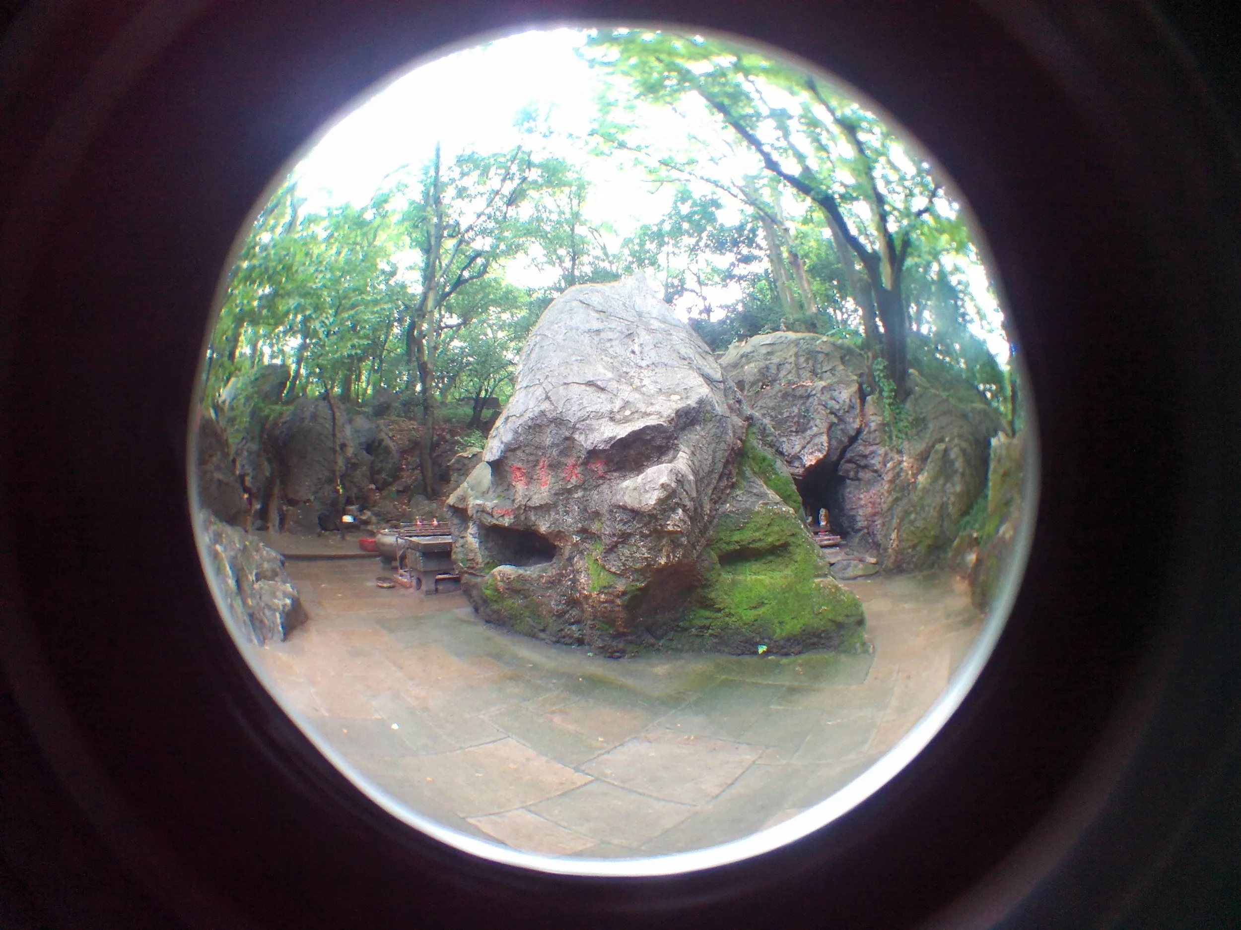 吴山を森林浴しながら散歩