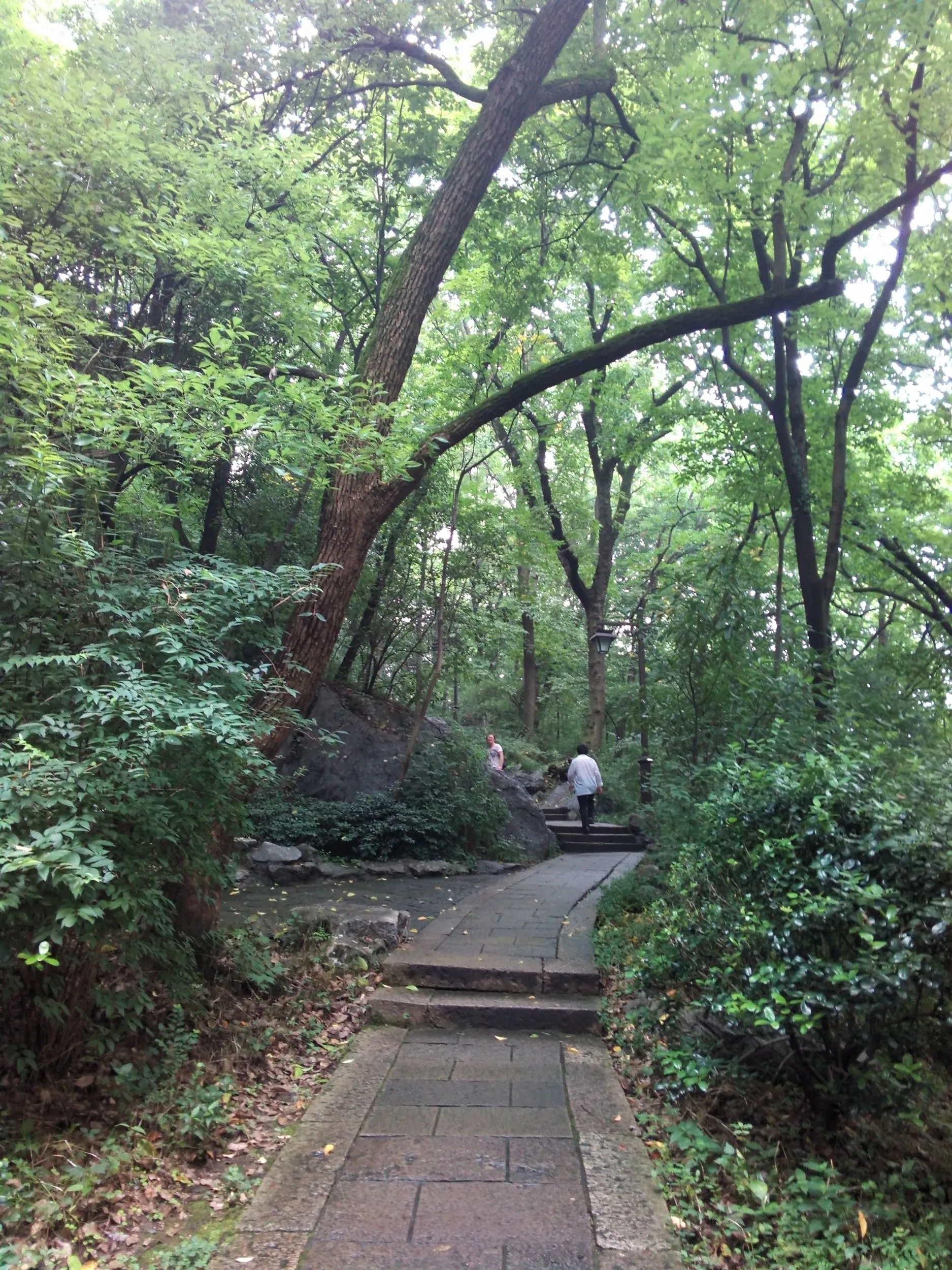 吴山を森林浴しながら散歩