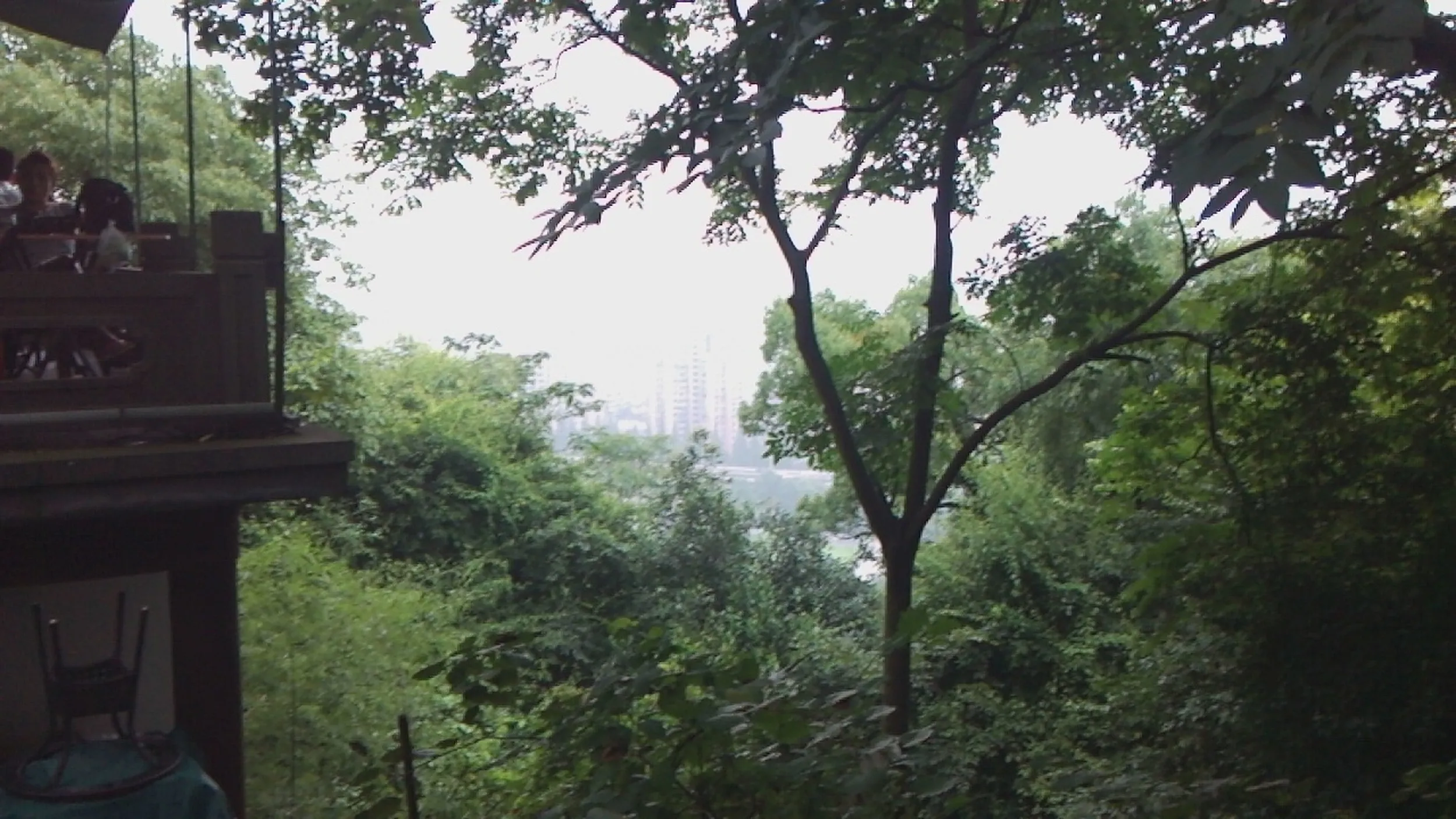 吴山を森林浴しながら散歩