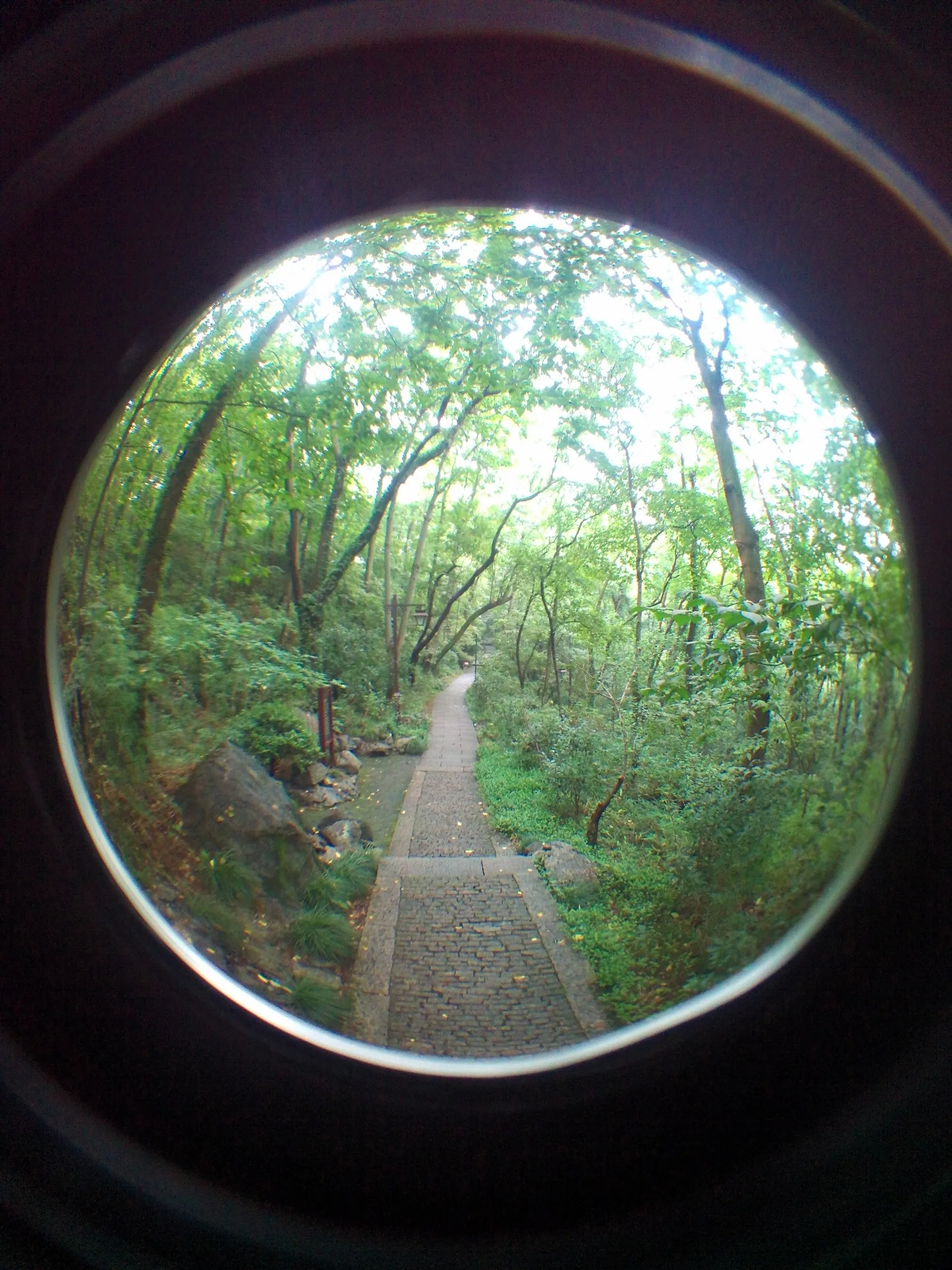 吴山を森林浴しながら散歩