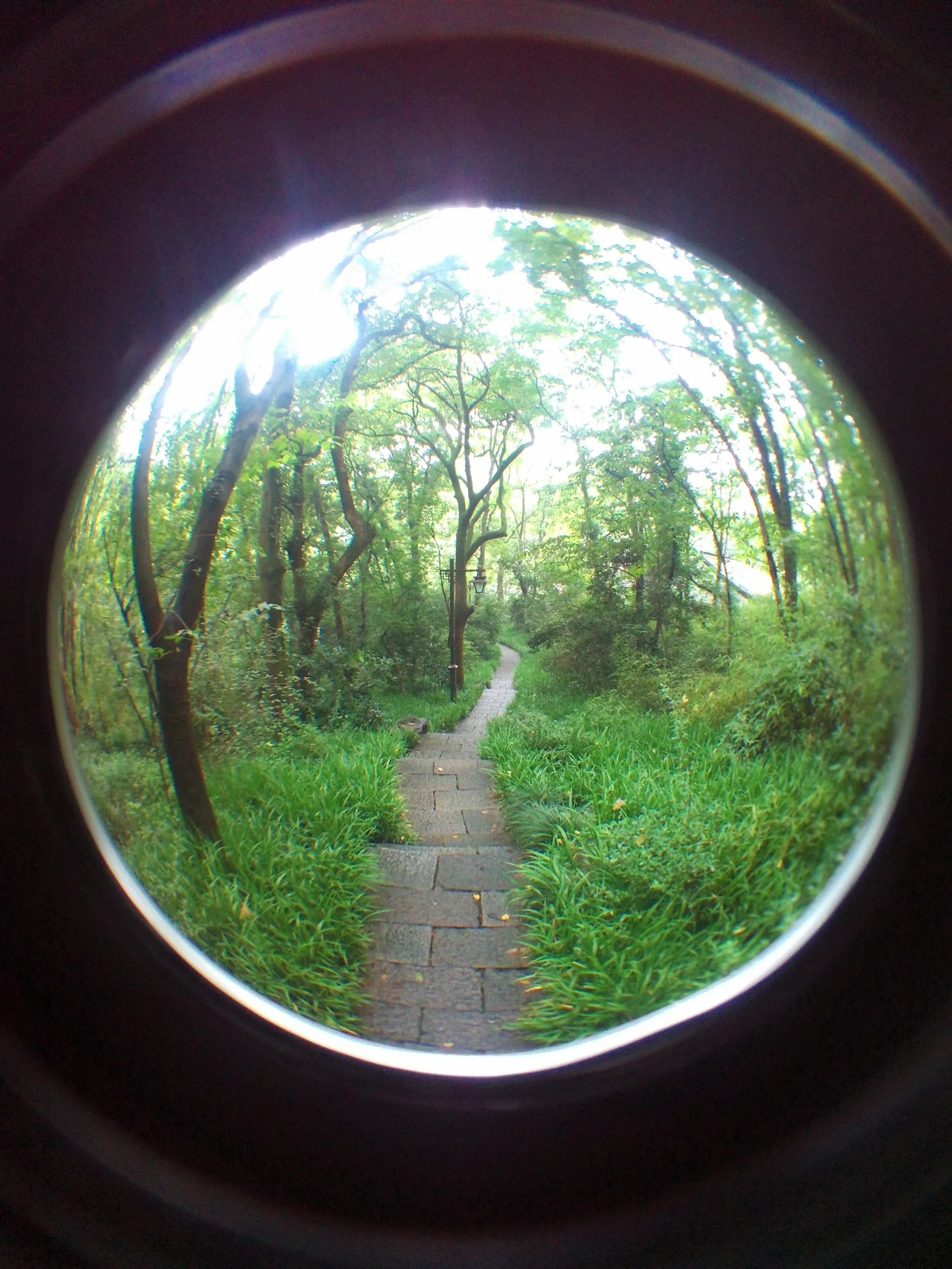 吴山を森林浴しながら散歩