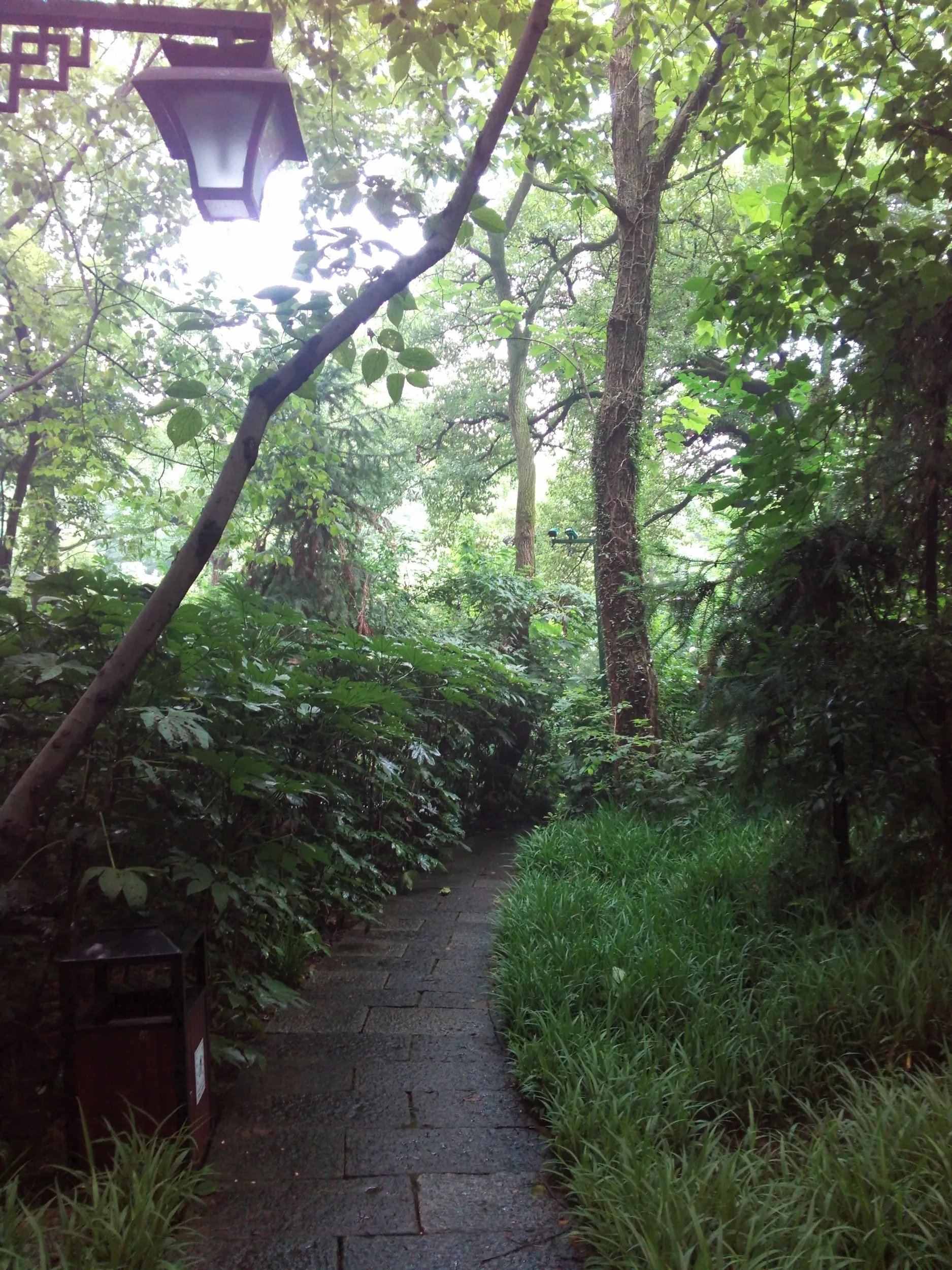 吴山を森林浴しながら散歩