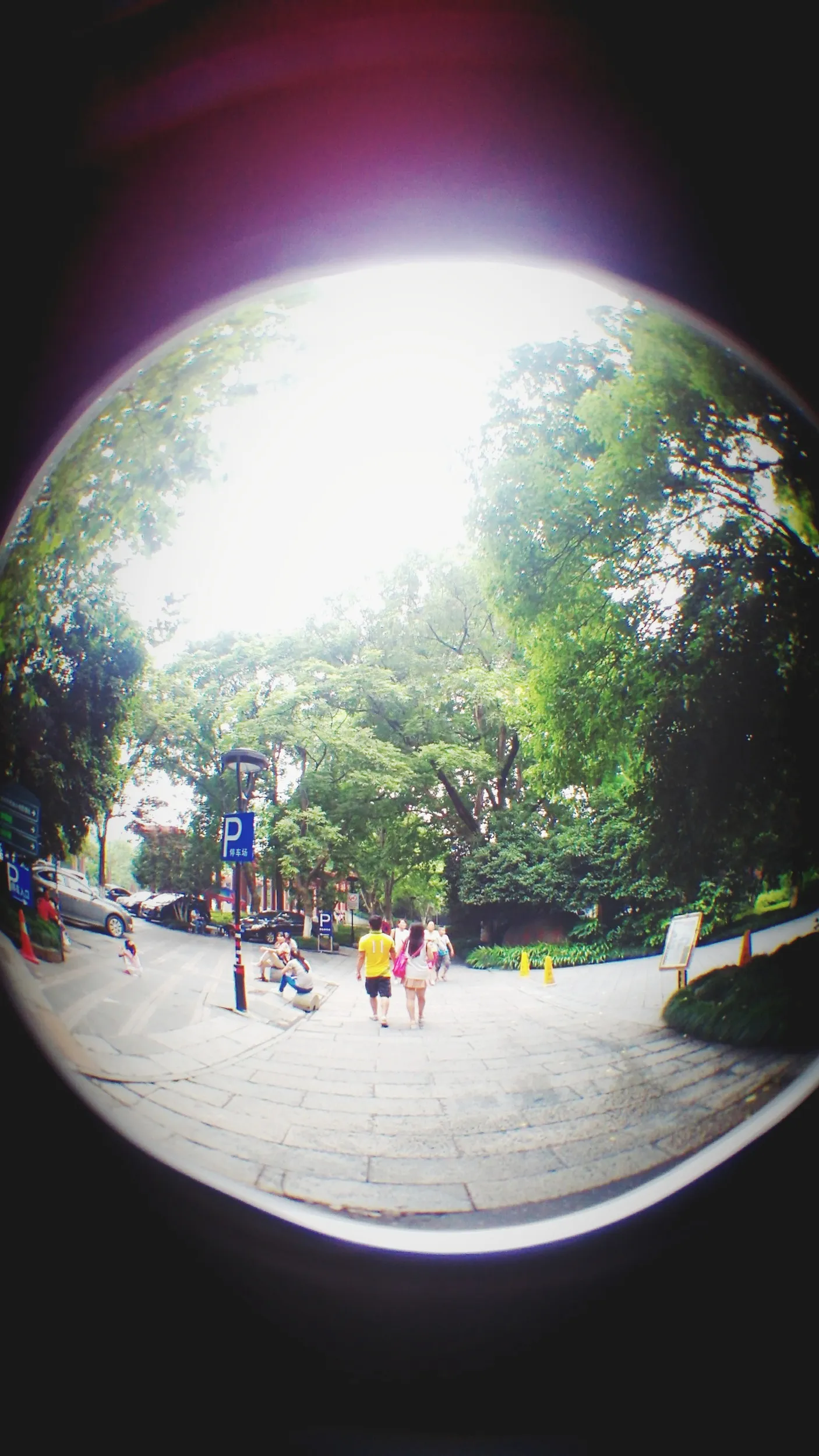 学士橋、学士公園