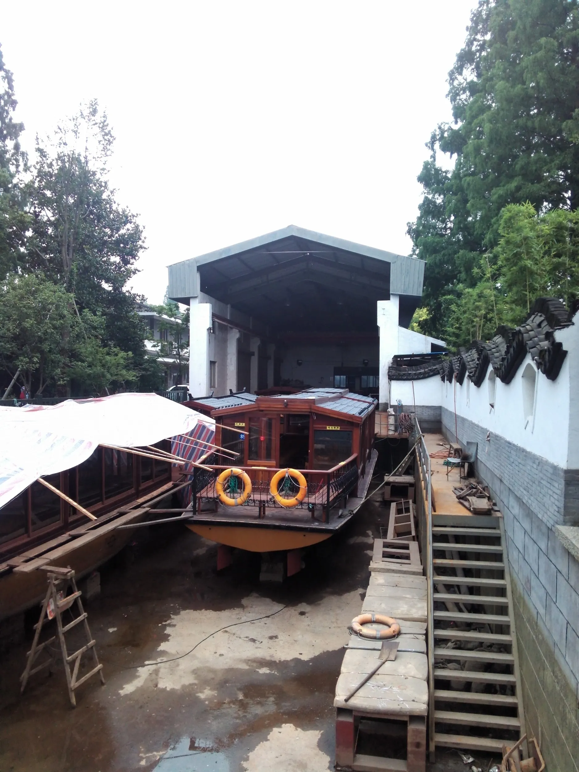 西湖湖畔のドッグ