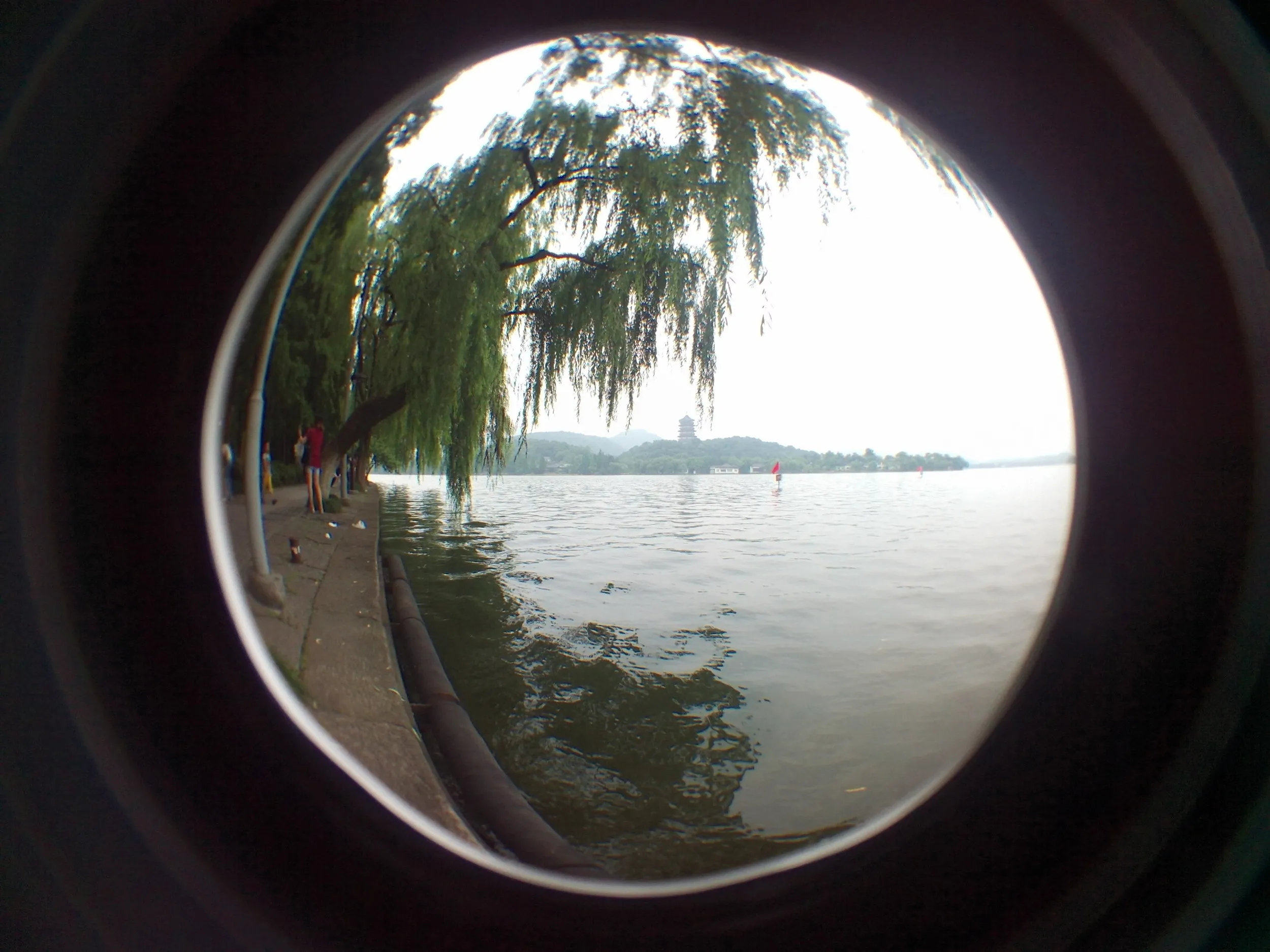 西湖湖畔の風景