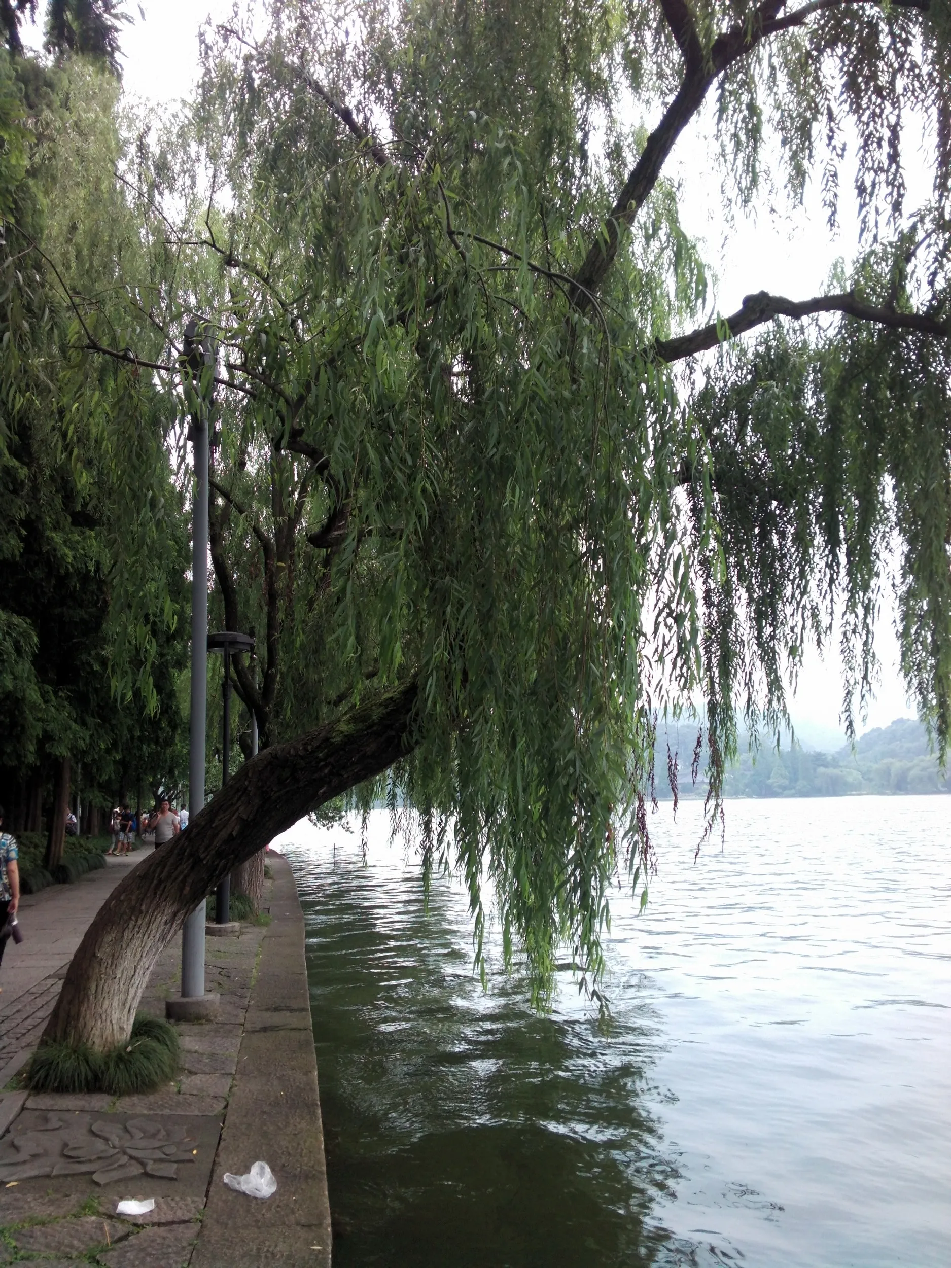 西湖湖畔の風景