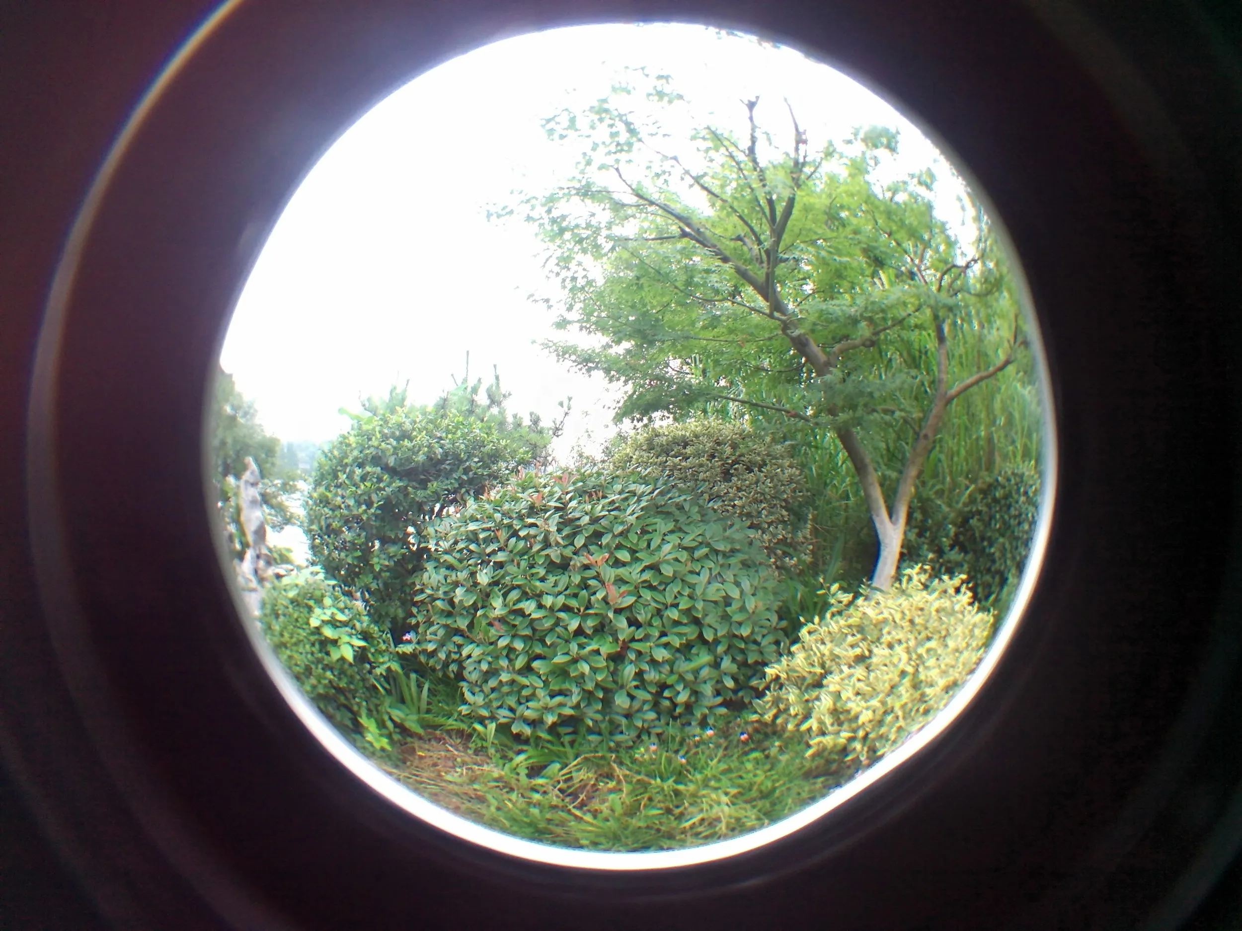 西湖湖畔の風景